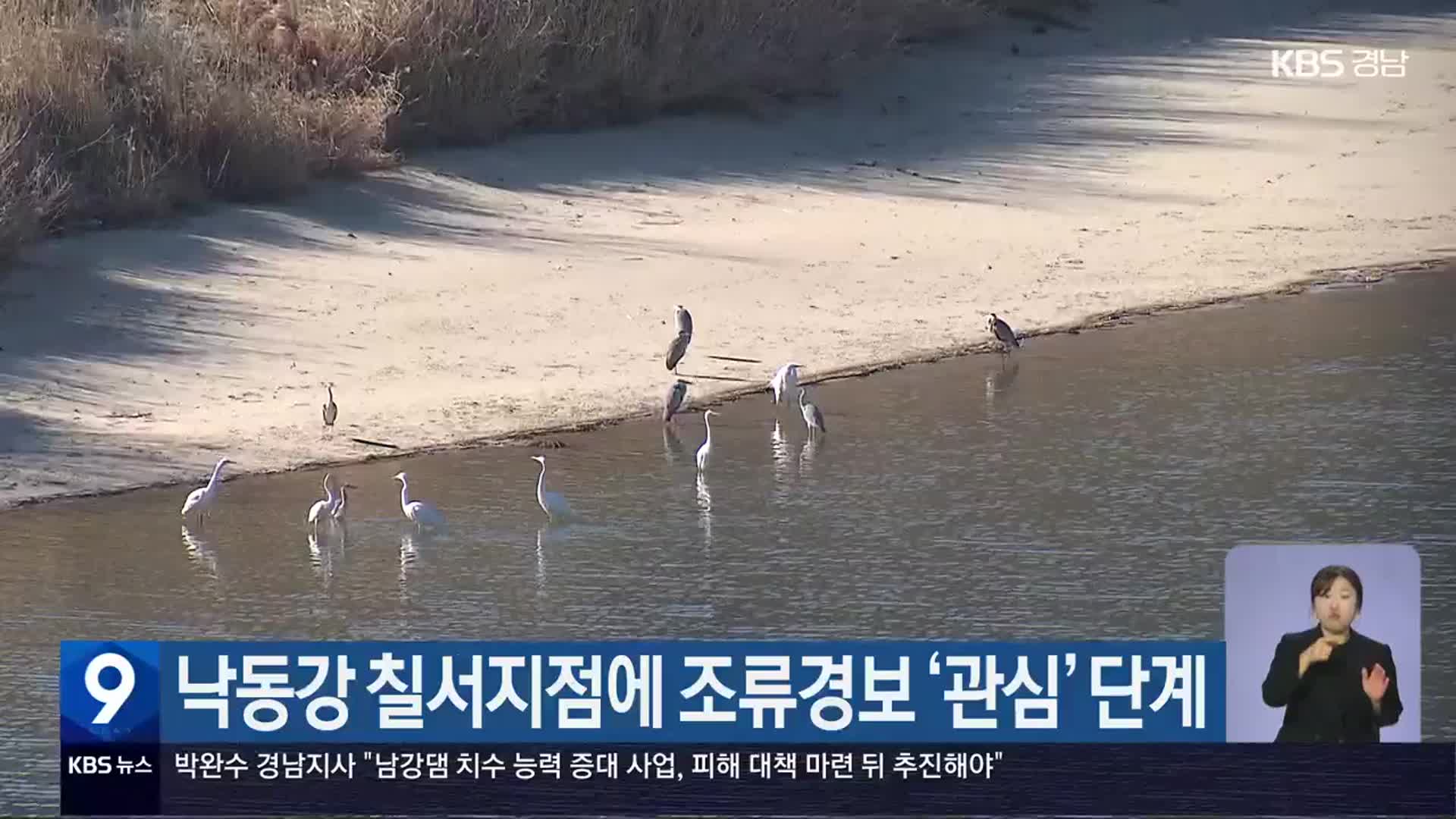 낙동강 칠서지점에 조류경보 ‘관심’ 단계