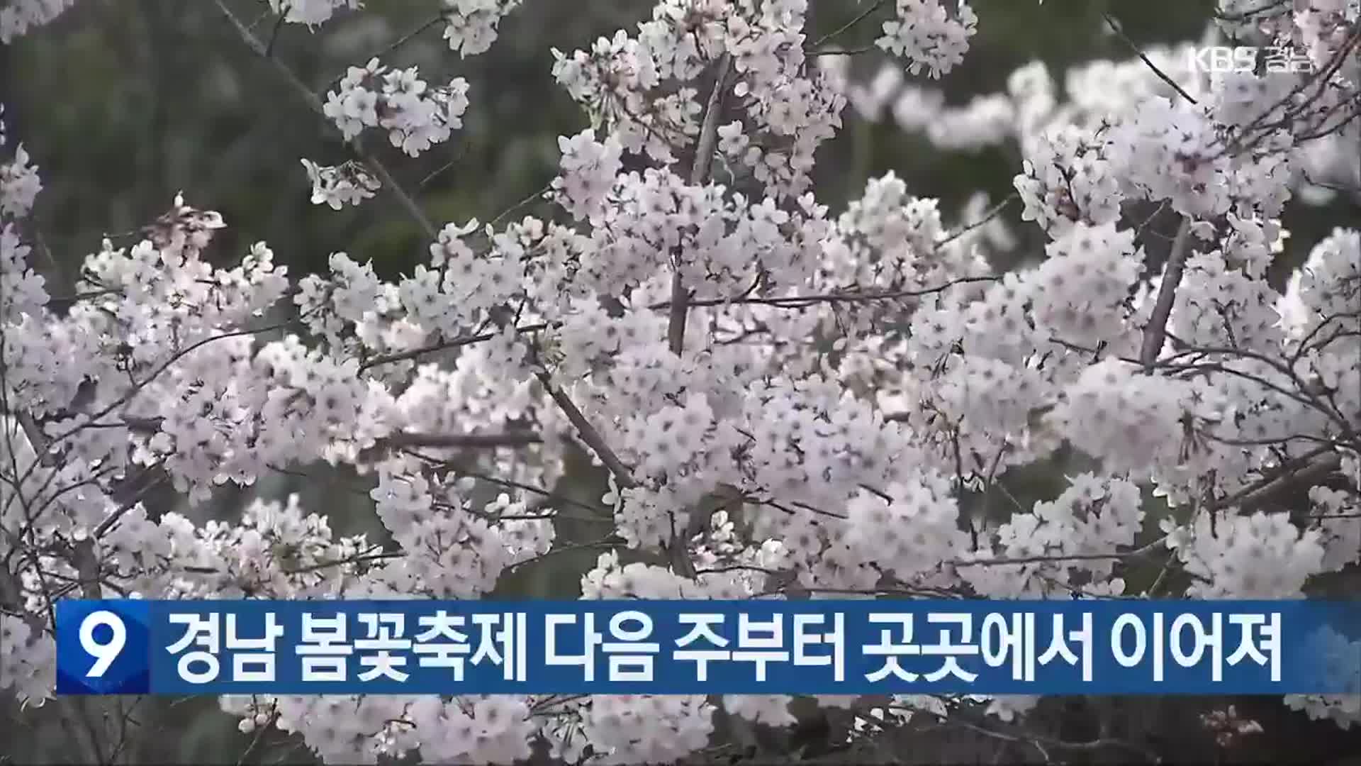 경남 봄꽃축제 다음 주부터 곳곳에서 이어져