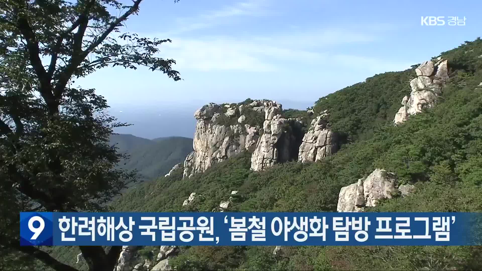 한려해상 국립공원, ‘봄철 야생화 탐방 프로그램’