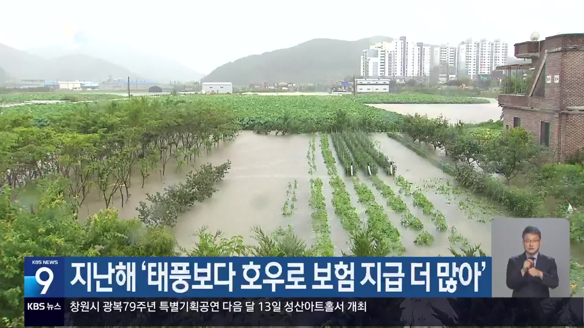 지난해 ‘태풍보다 호우로 보험 지급 더 많아’