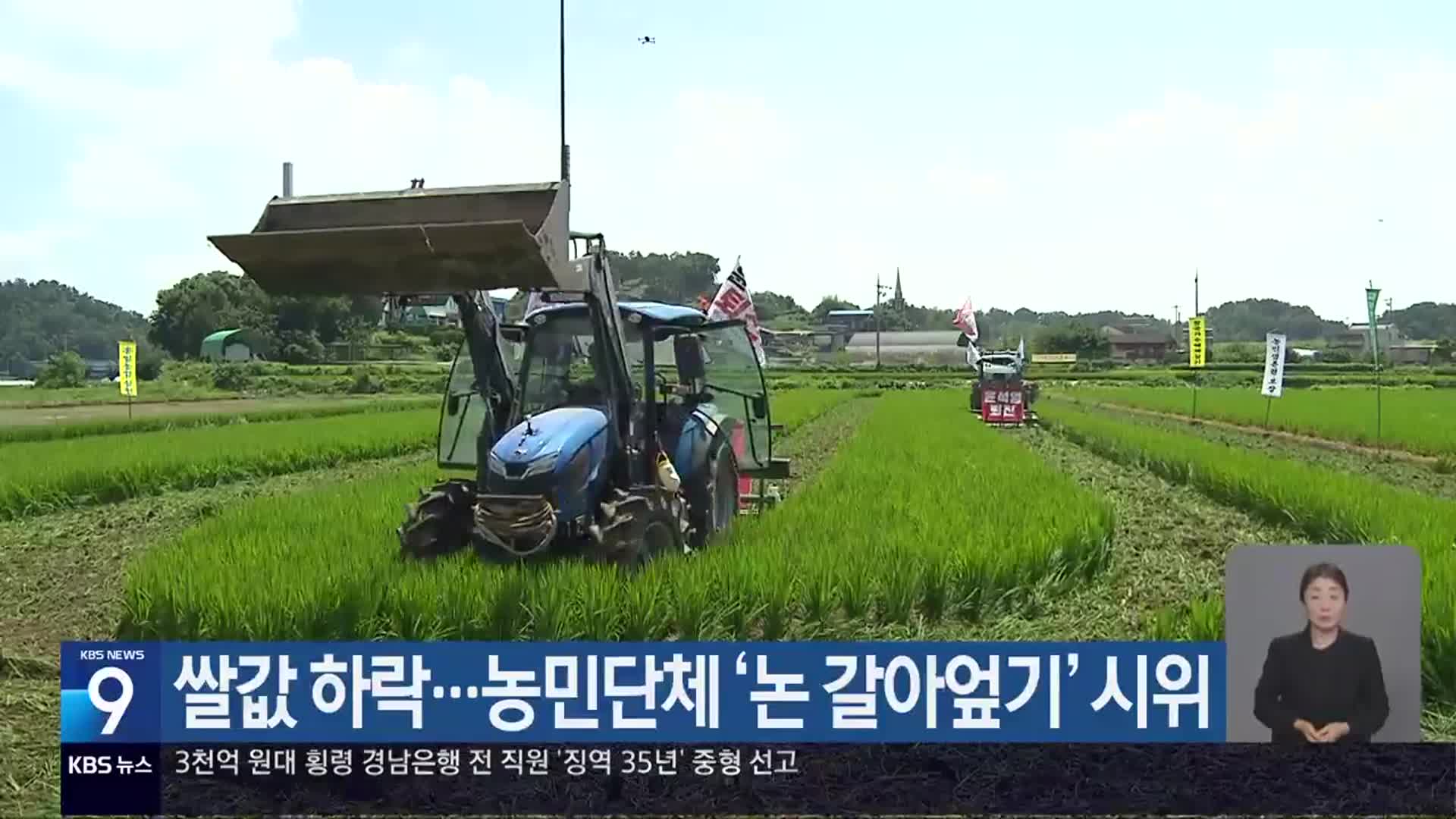 쌀값 하락…농민단체 ‘논 갈아엎기’ 시위