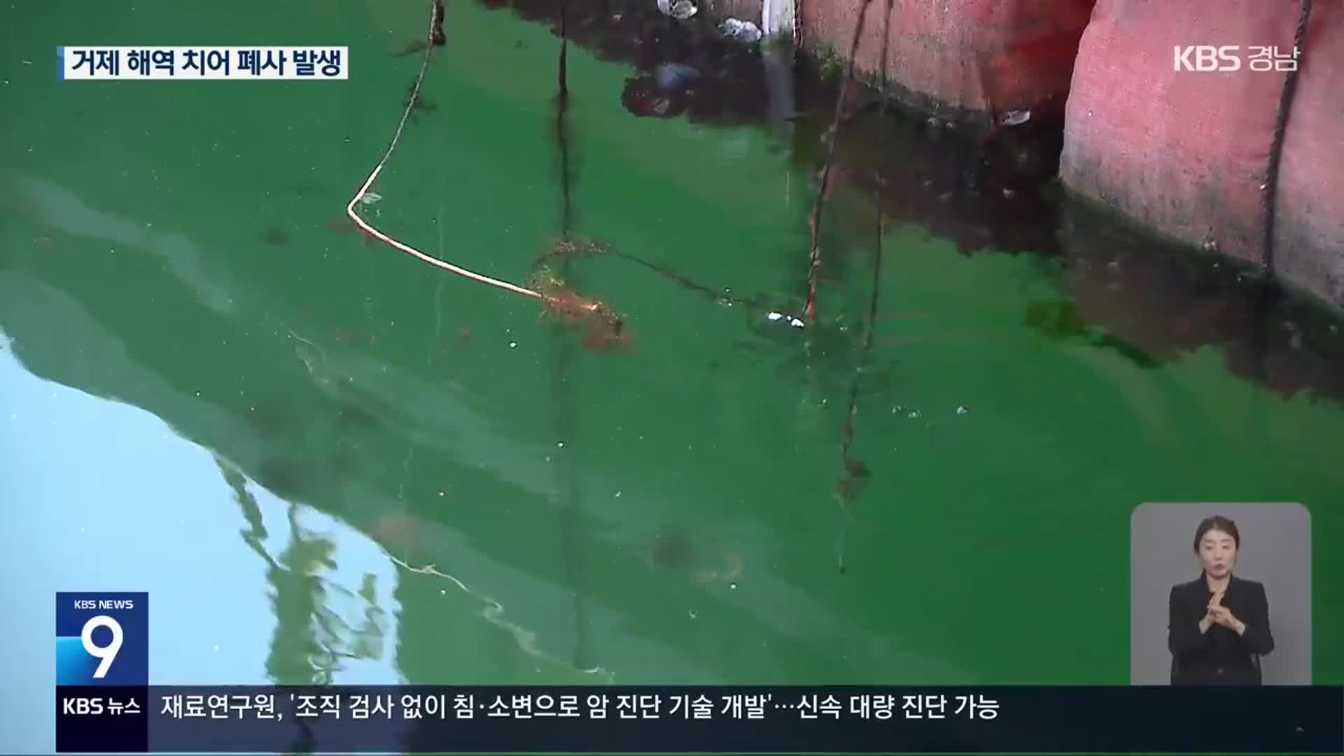 고수온주의보 경남 남해안 ‘적조도 우려’