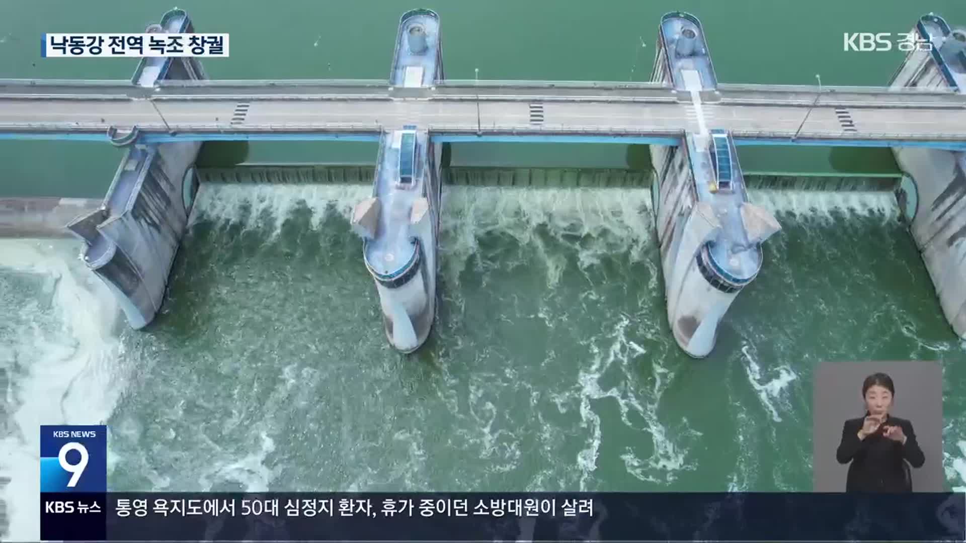 낙동강 녹조 창궐…“보 개방해야”