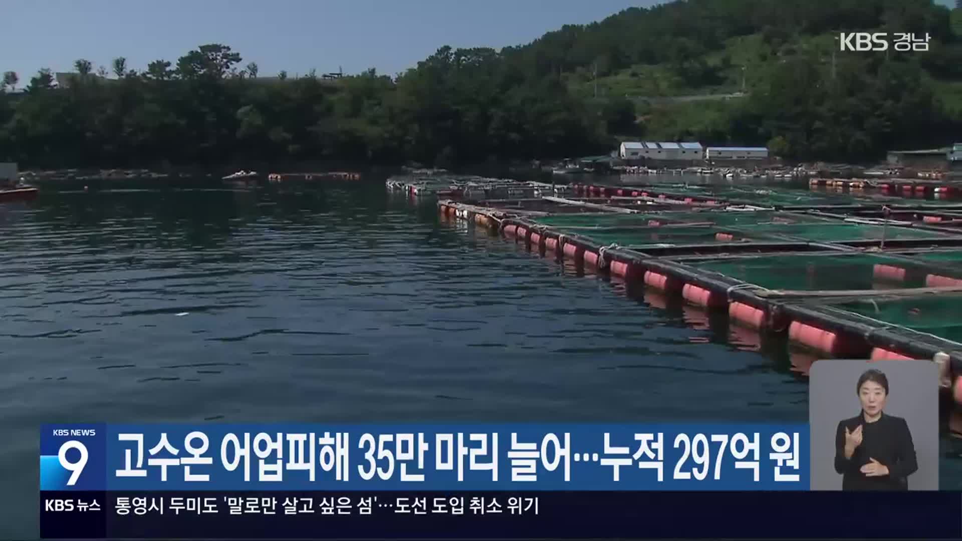 고수온 어업피해 35만 마리 늘어…누적 297억 원