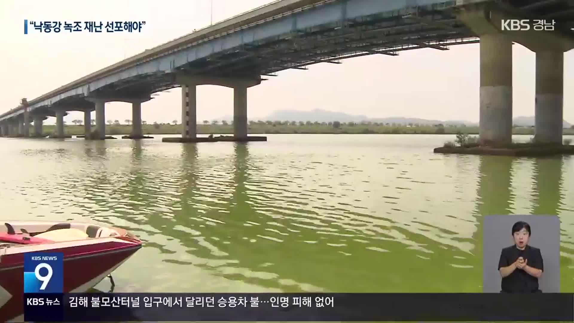 녹조 무방비 노출…“낙동강 녹조 재난 선포해야”