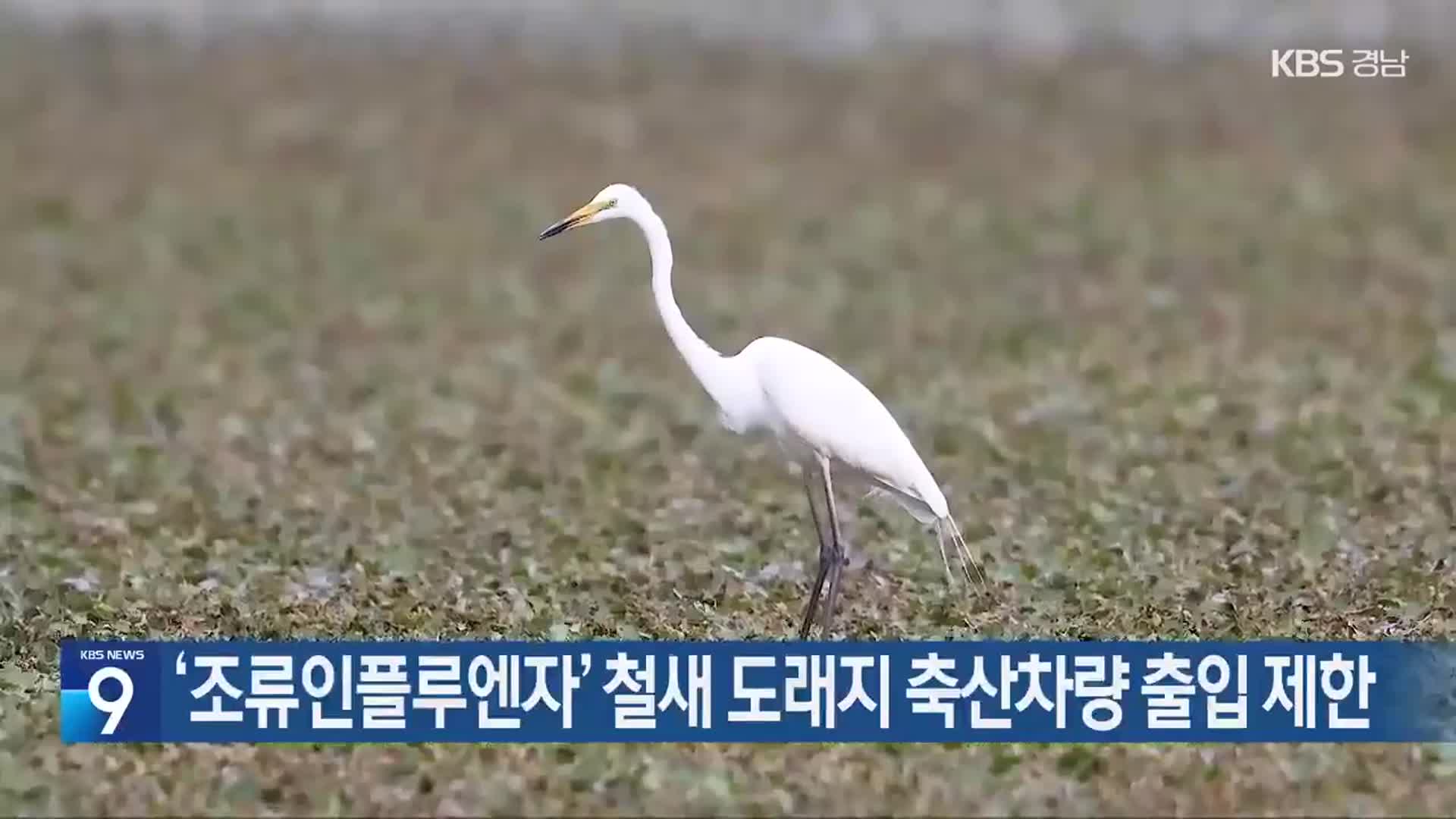 ‘조류인플루엔자’ 철새 도래지 축산차량 출입 제한