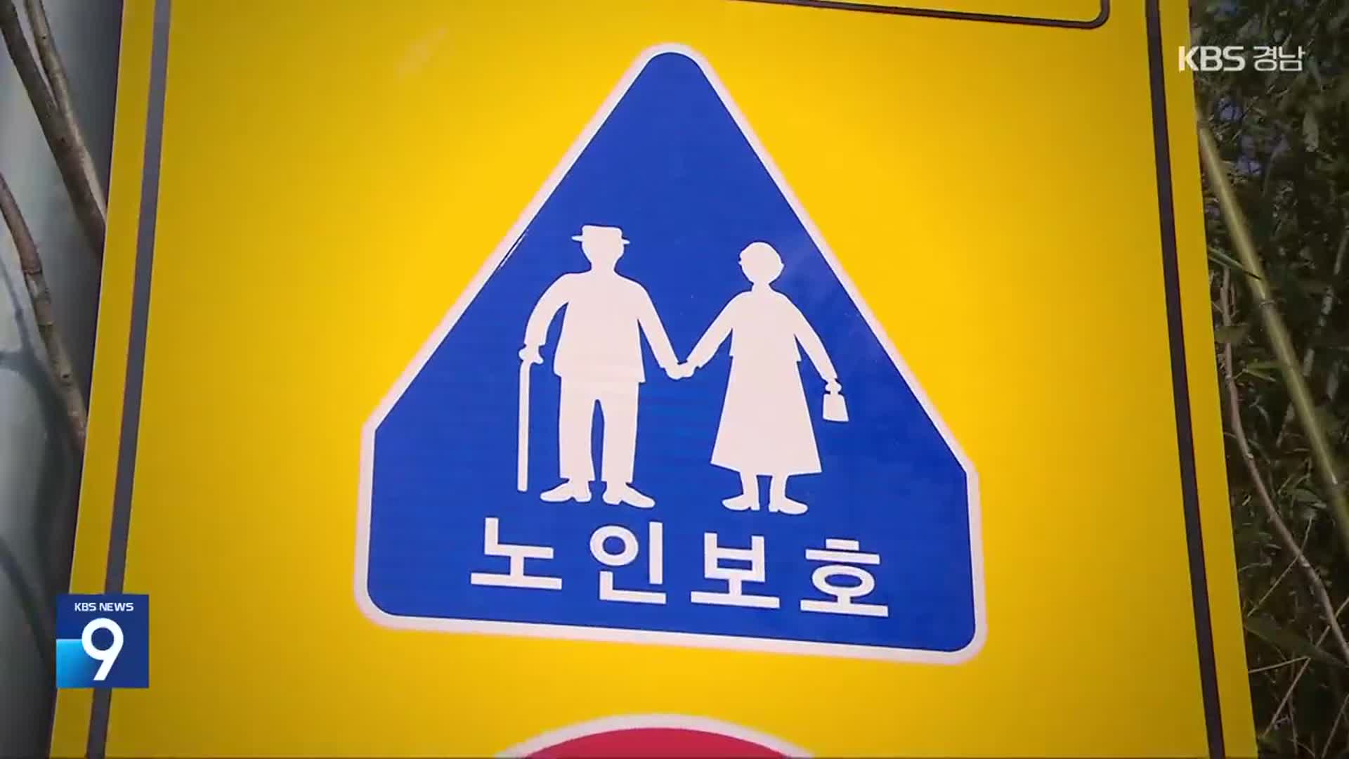 고령 인구 증가…허울뿐인 ‘노인보호구역’