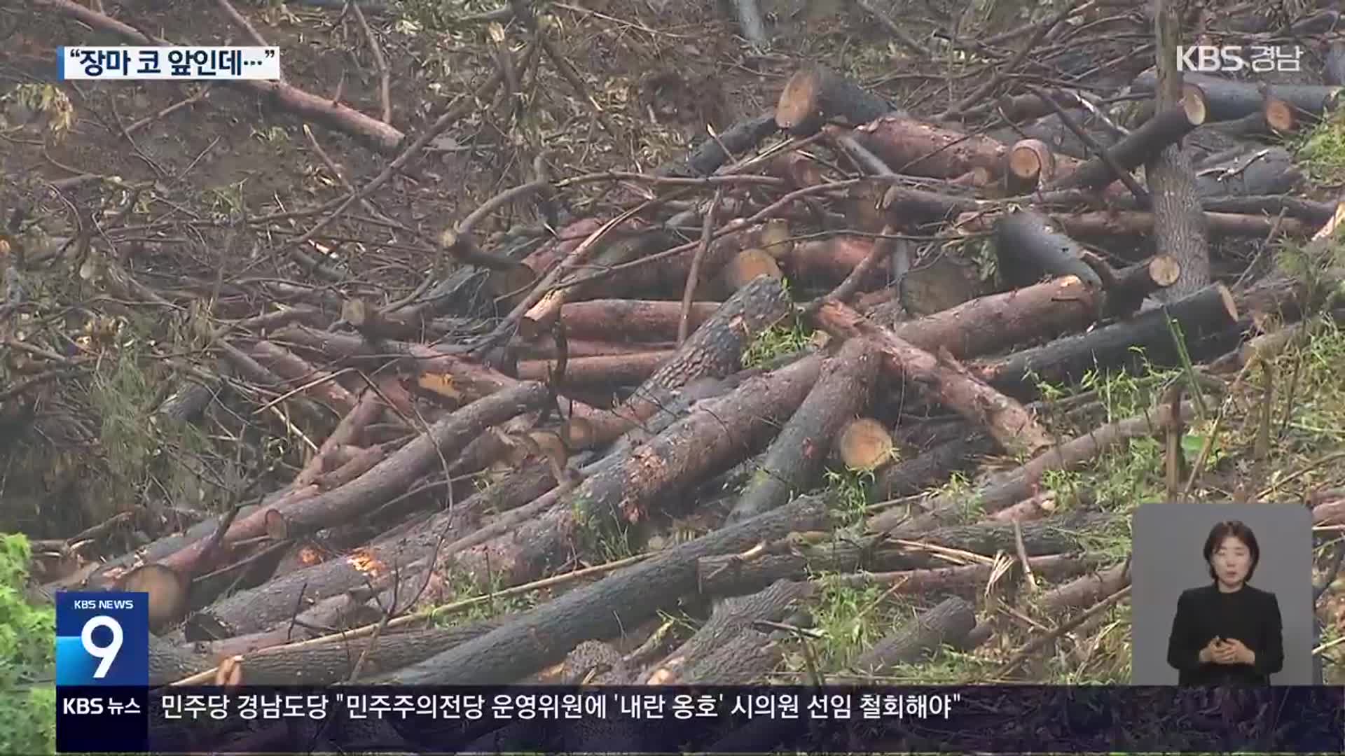[뉴스9 경남 풀영상]