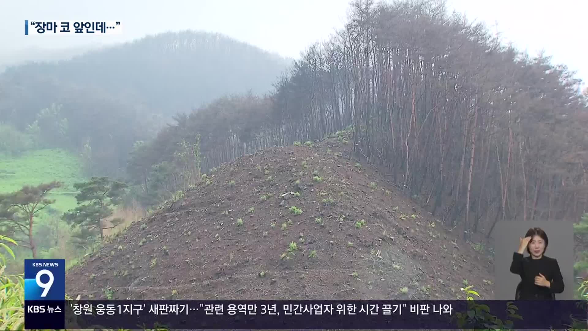 산불 피해지역 산사태 우려 ‘노심초사’