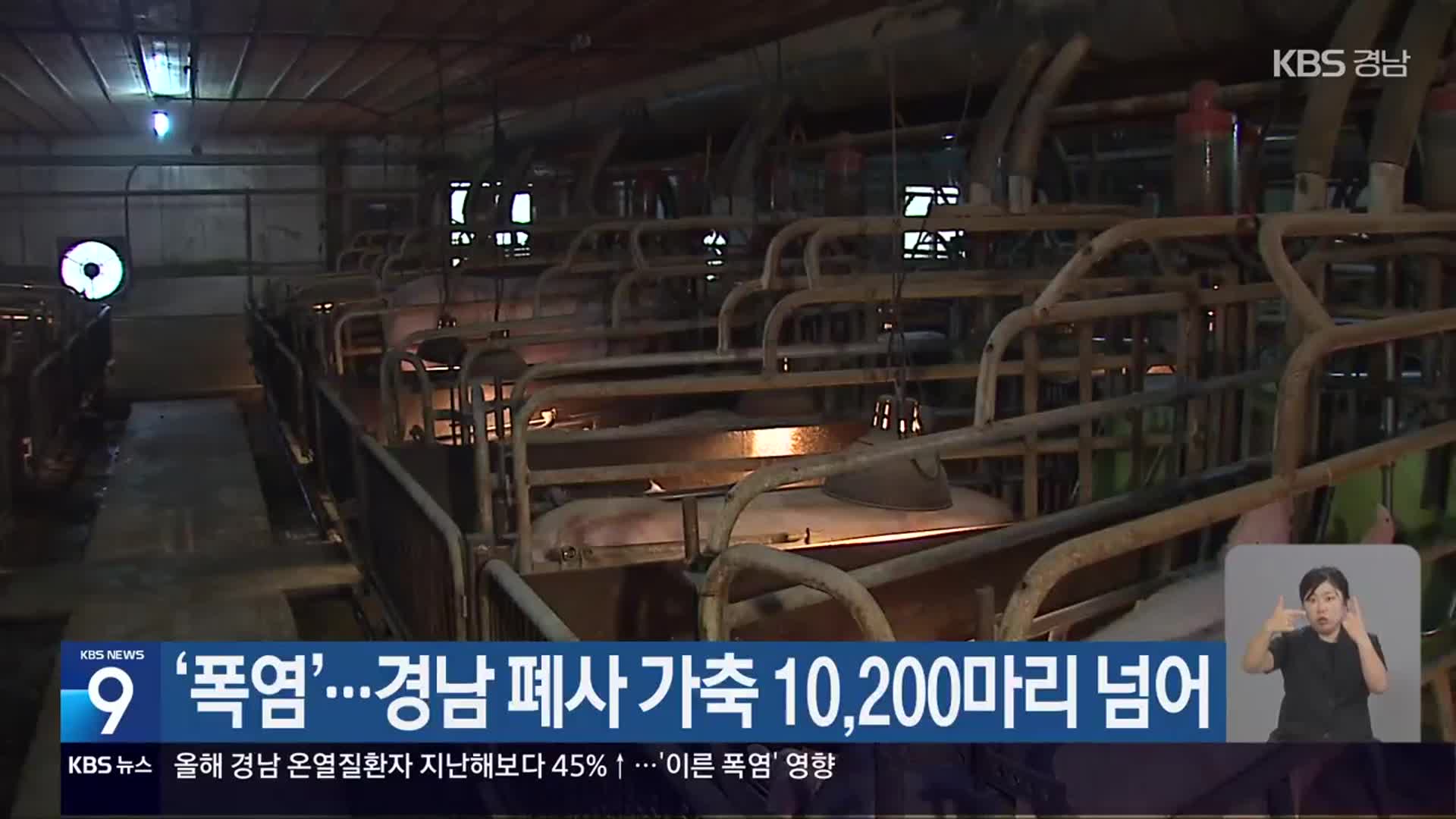 ‘폭염’…경남 폐사 가축 10,200마리 넘어