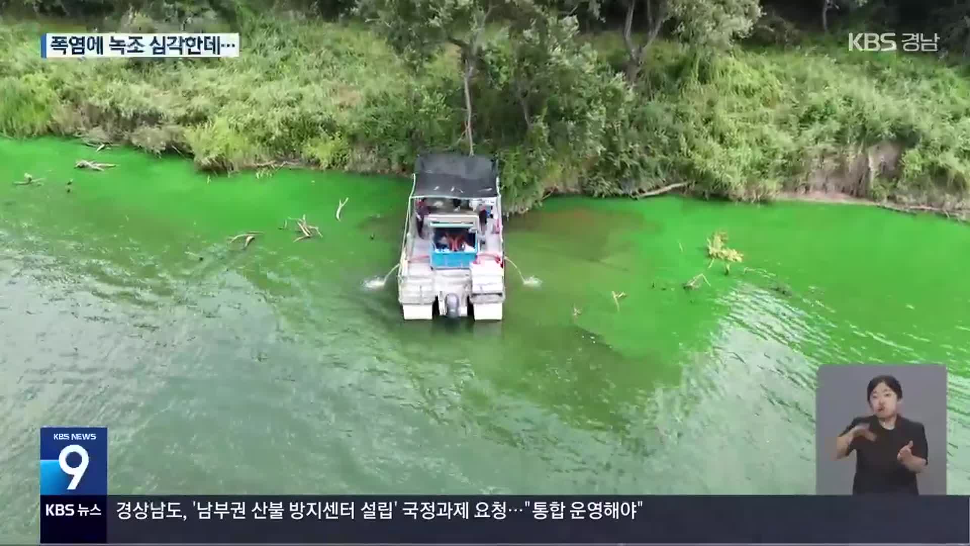 ‘이른 폭염’에 녹조 심각한데…녹조 제거선은 ‘어디에’?