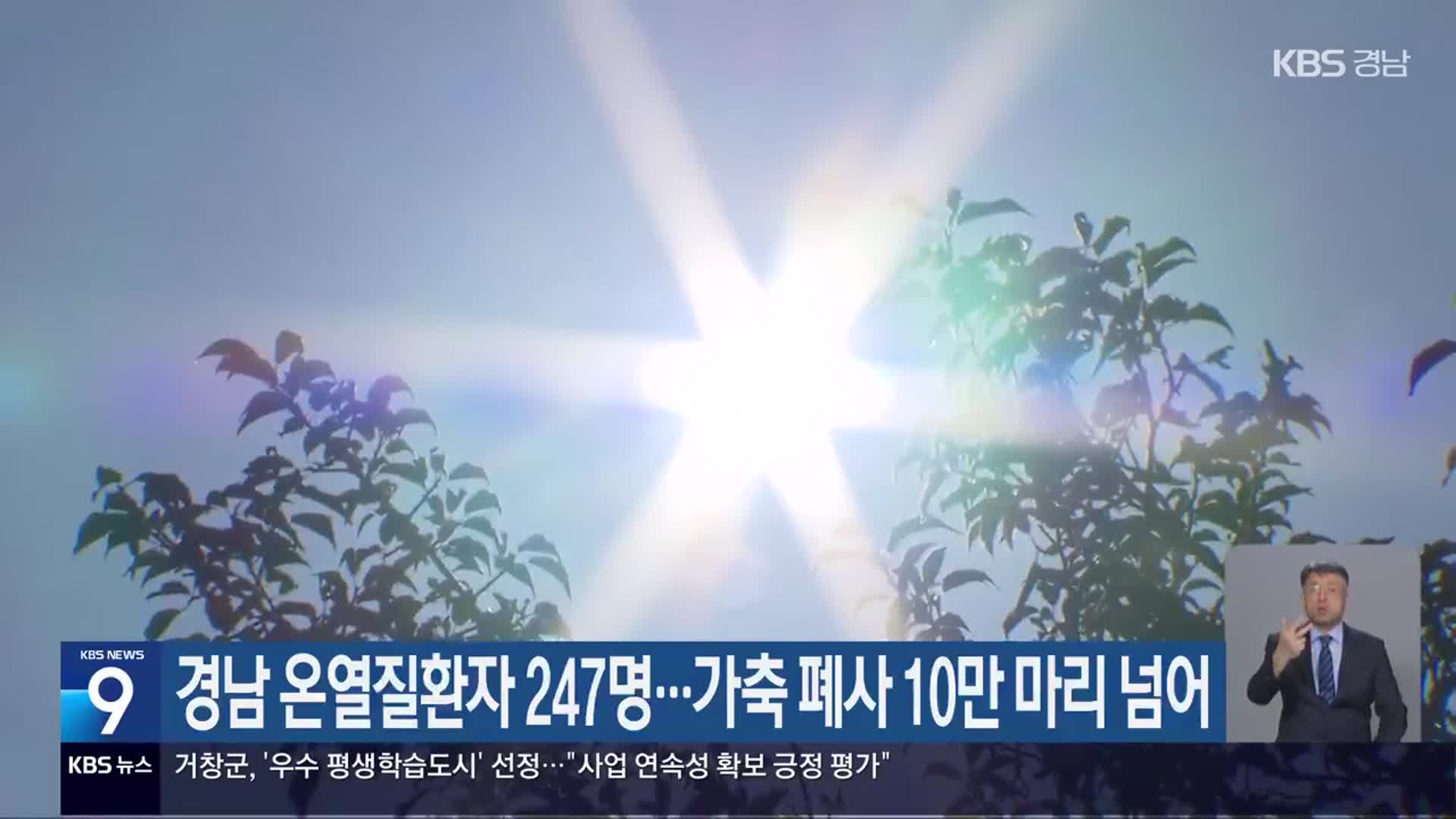 경남 온열질환자 247명…가축 폐사 10만 마리 넘어