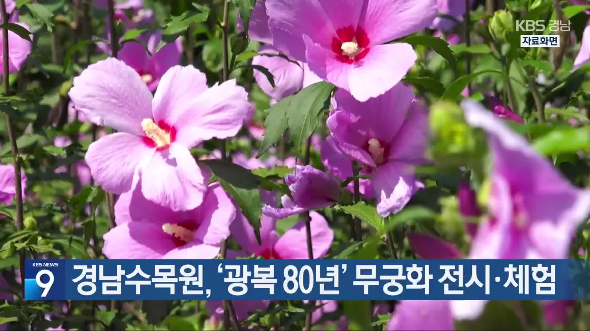 경남수목원, ‘광복 80년’ 무궁화 전시·체험