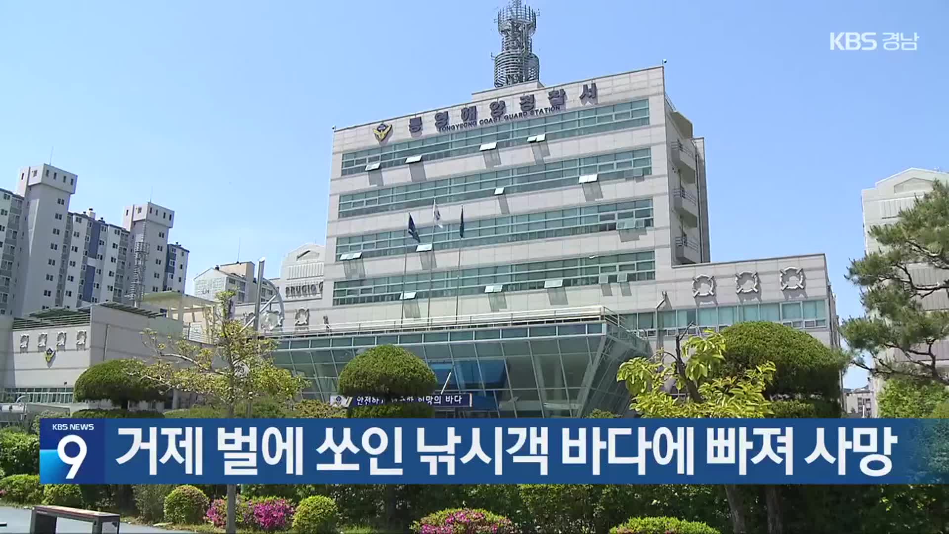 거제 벌에 쏘인 낚시객 바다에 빠져 사망