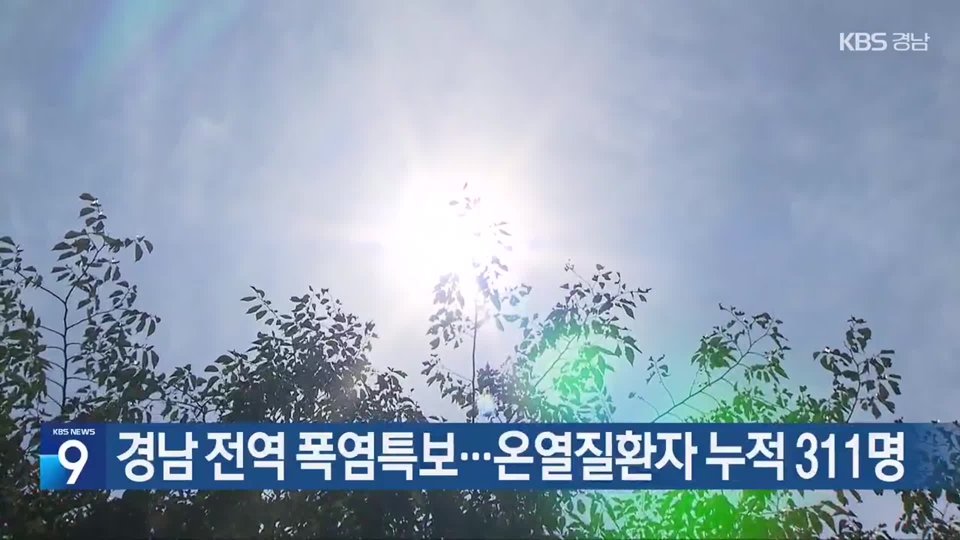 경남 전역 폭염특보…온열질환자 누적 311명