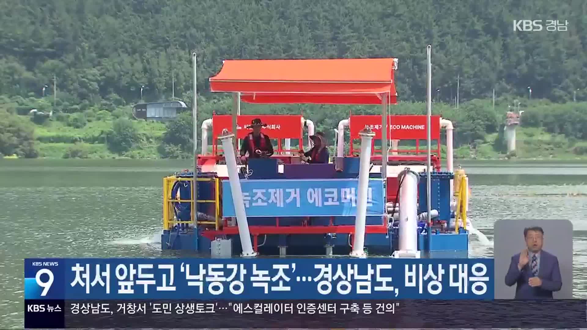 처서 앞두고 ‘낙동강 녹조’…경상남도, 비상 대응