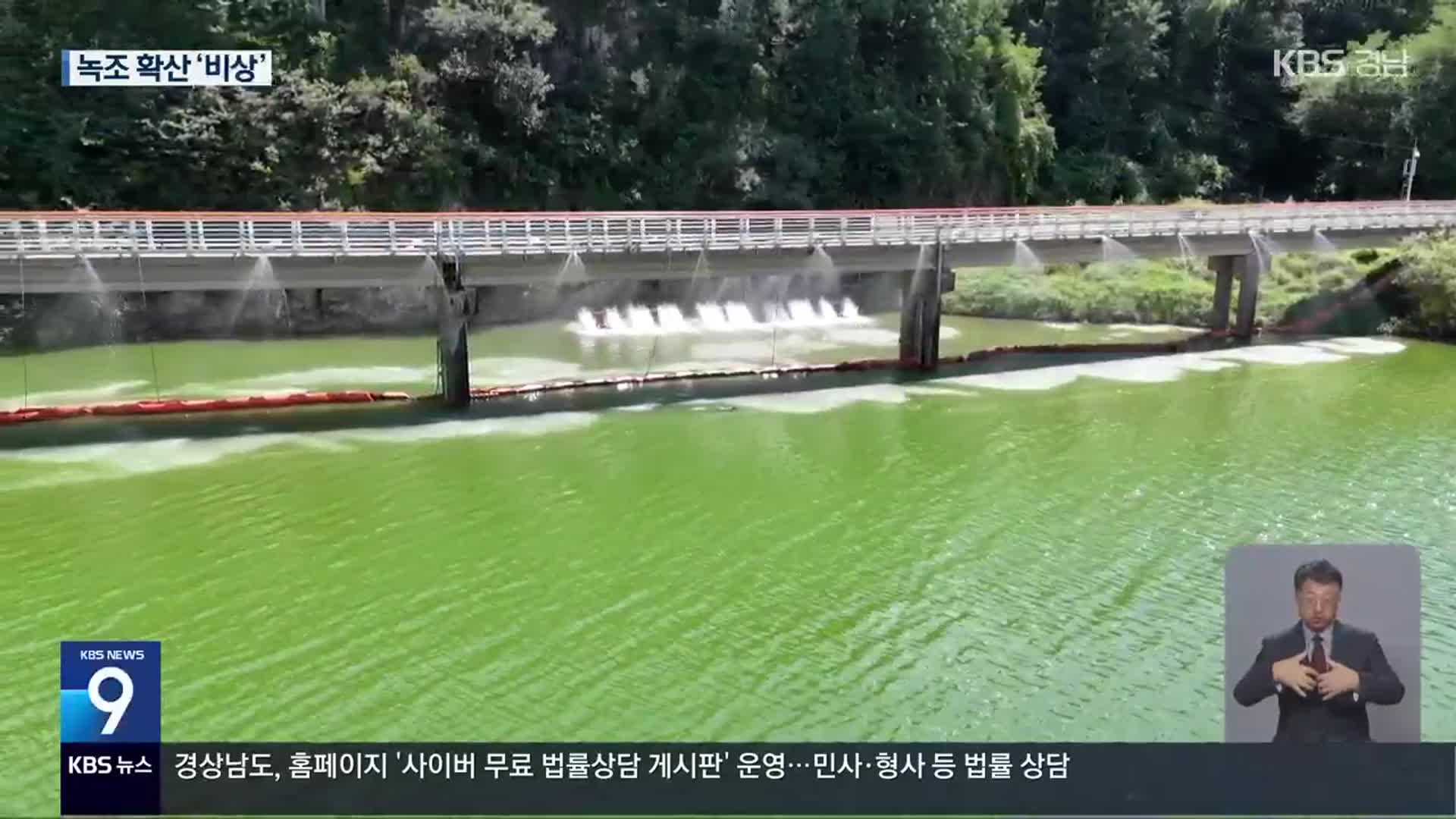 낙동강 녹조 심각…“재자연화 서둘러야”