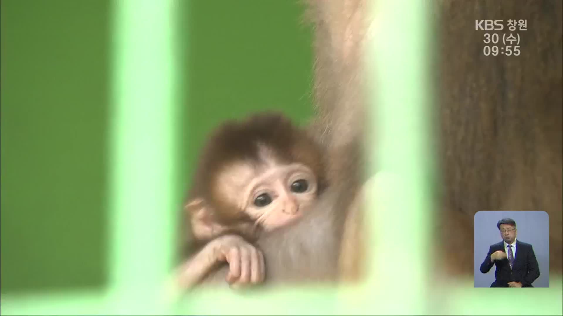 자폐증 앓는 진양호 동물원 동물들…7년 새 13마리 폐사