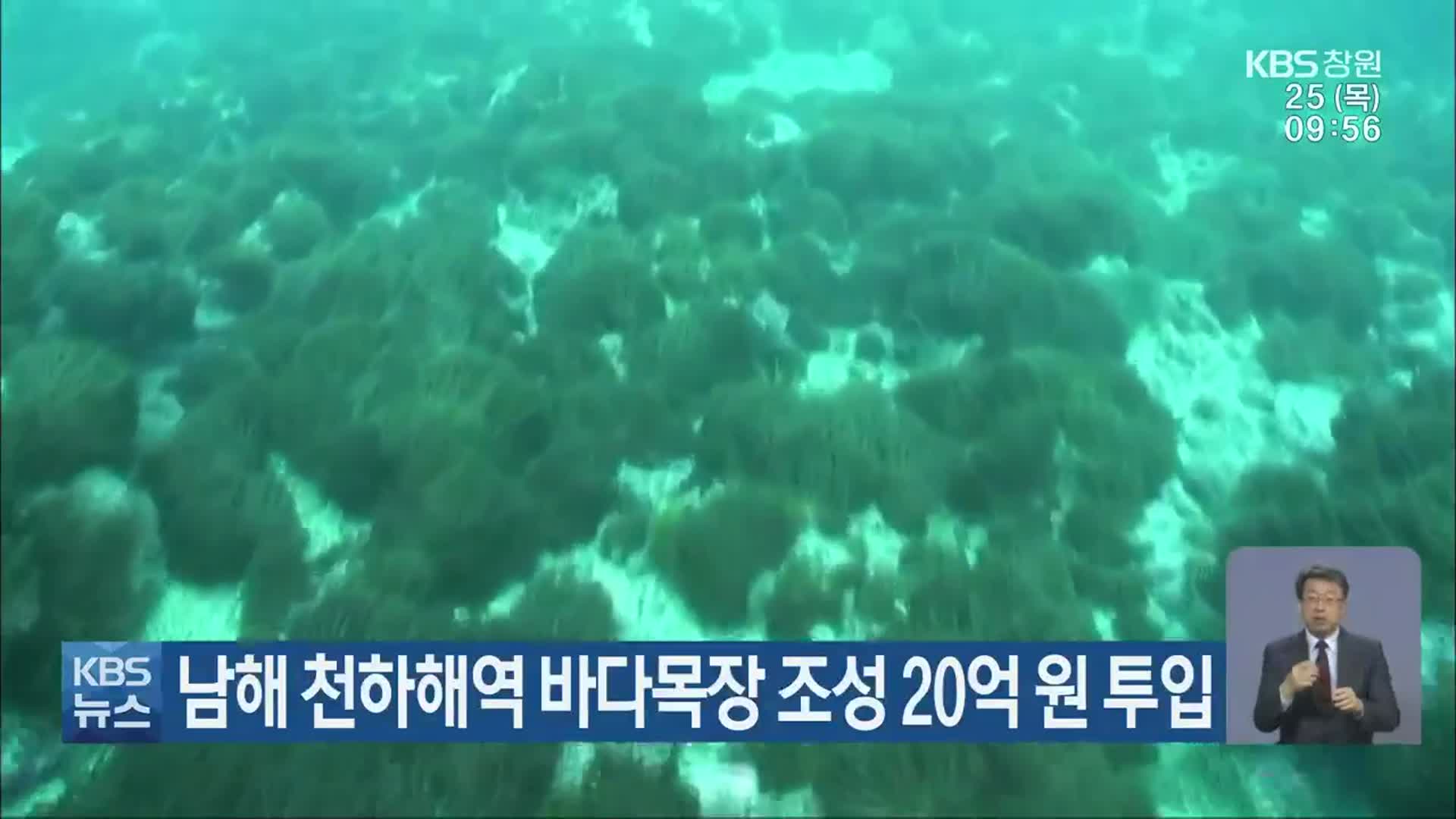 남해 천하해역 바다목장 조성 20억 원 투입