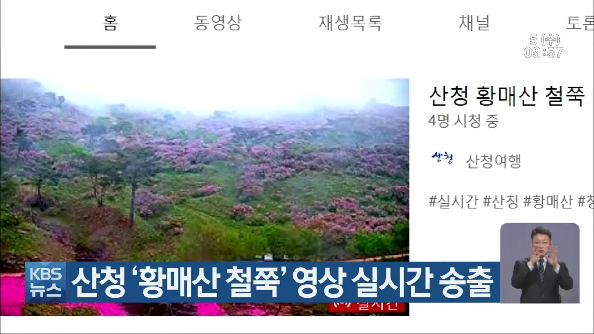 산청 ‘황매산 철쭉’ 영상 실시간 송출