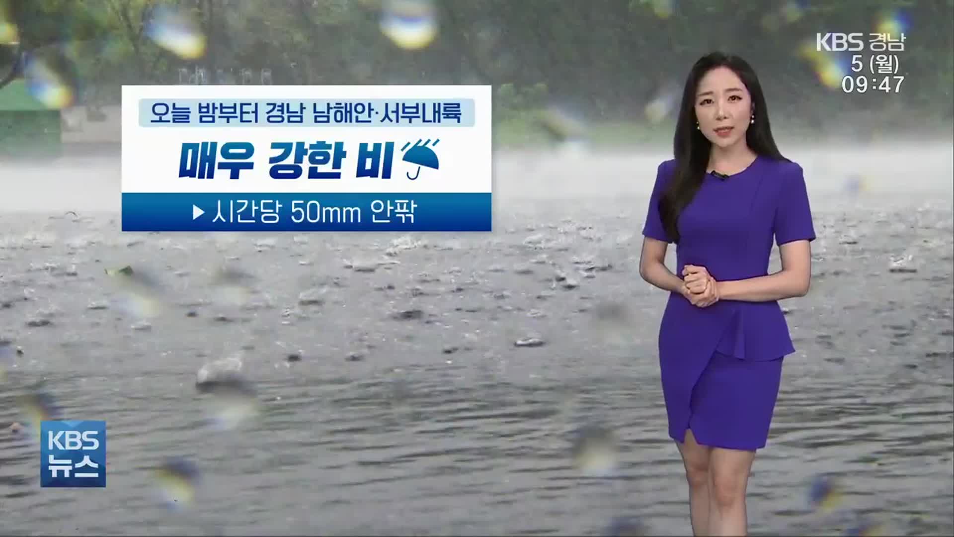 [날씨] 경남 전역 장맛비…남해안·지리산 최고 150mm