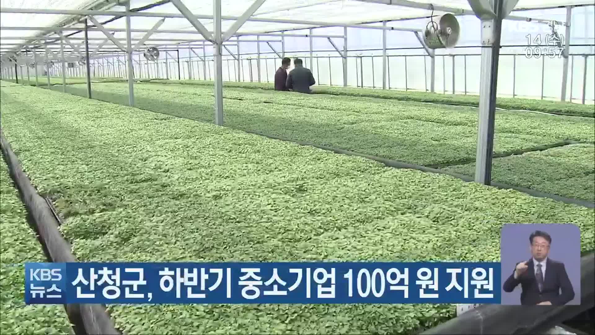 산청군, 하반기 중소기업 100억 원 지원
