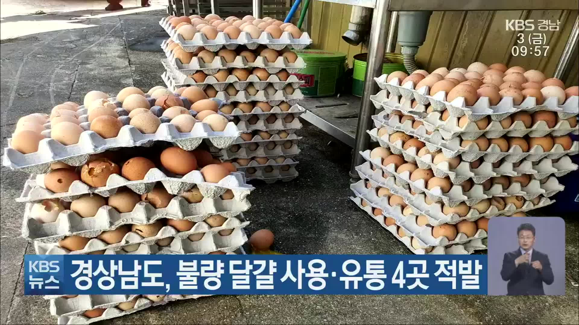 경상남도, 불량 달걀 사용·유통 4곳 적발