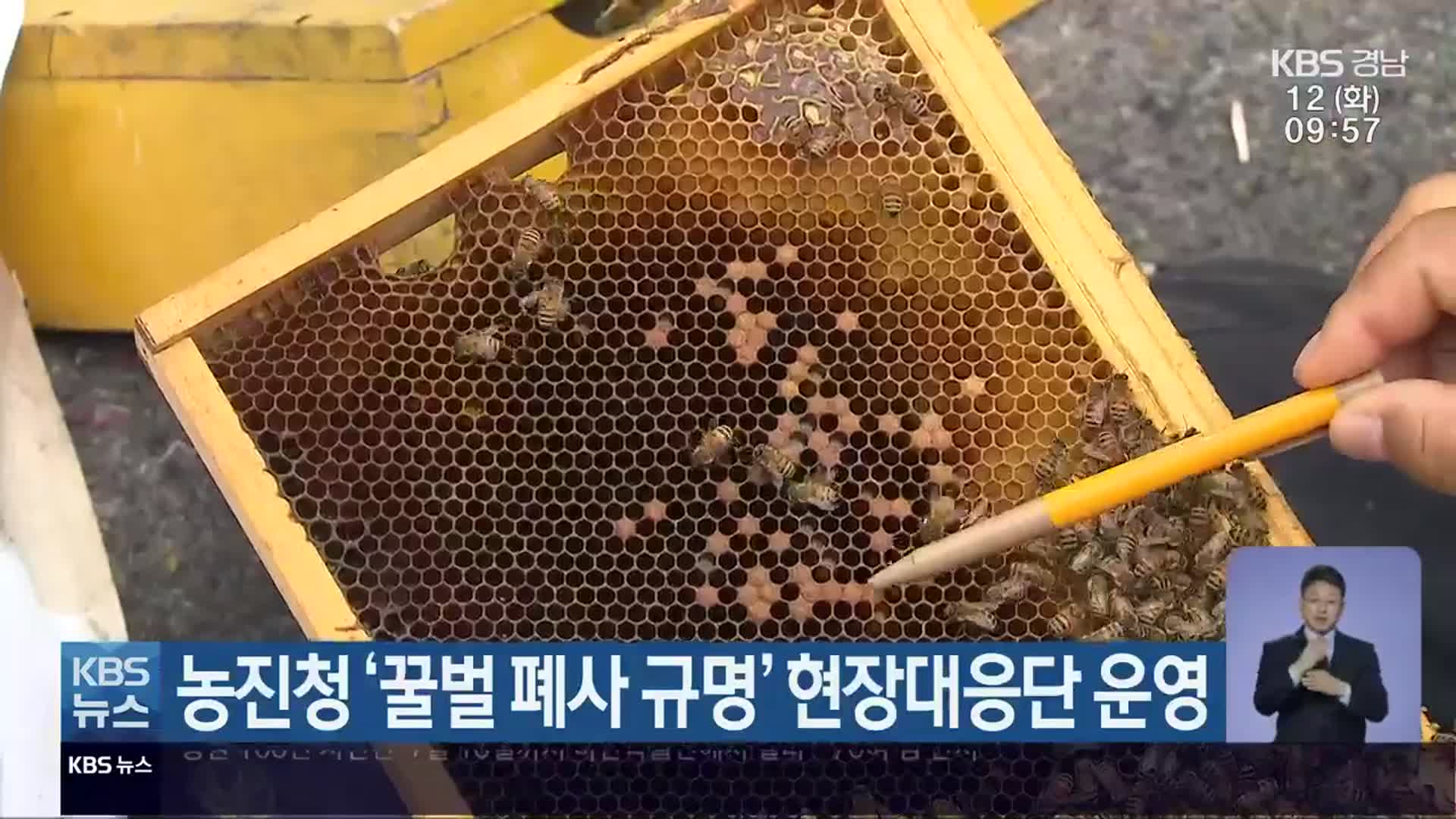 농진청 ‘꿀벌 폐사 규명’ 현장대응단 운영