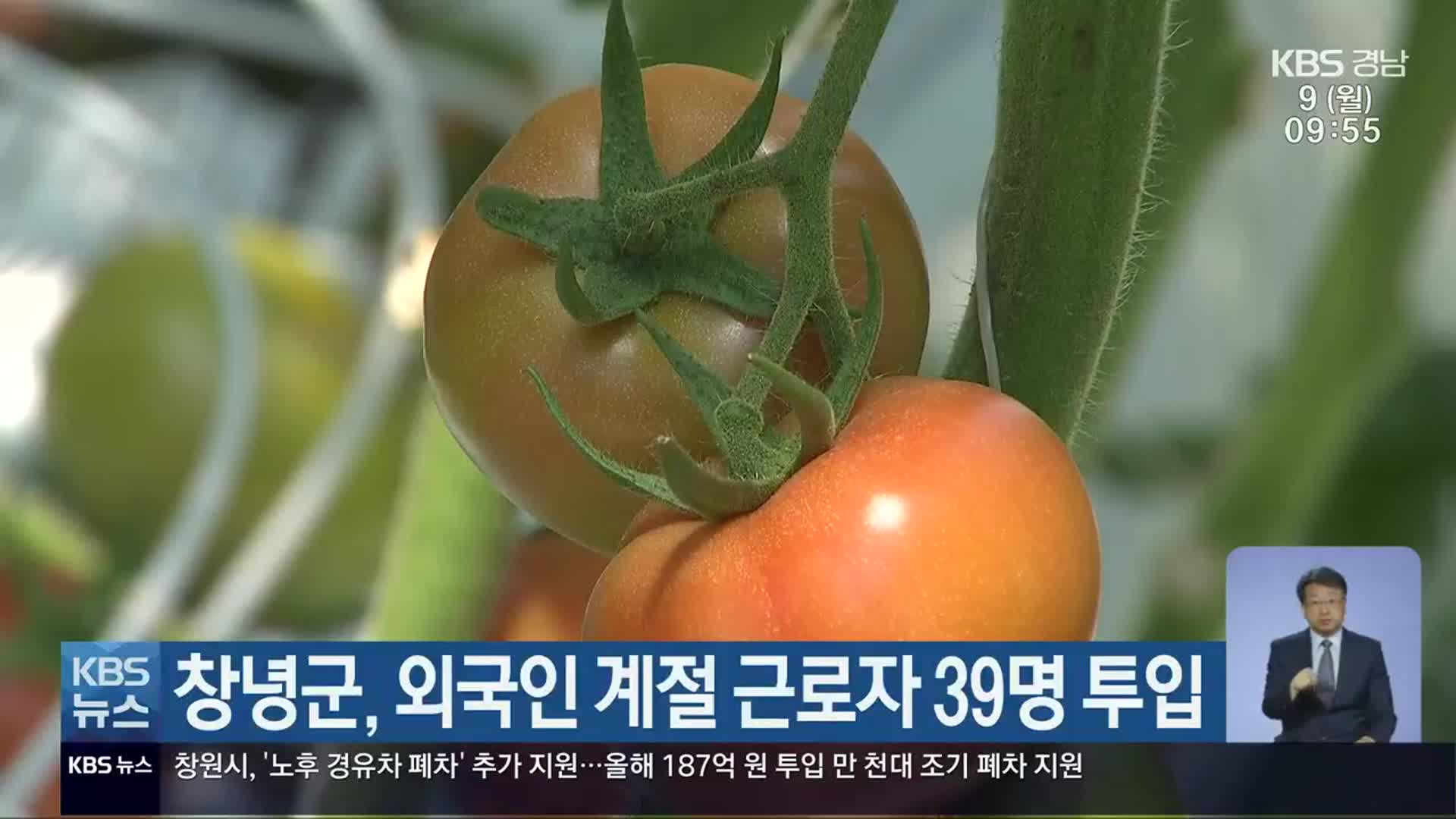 창녕군, 외국인 계절 근로자 39명 투입