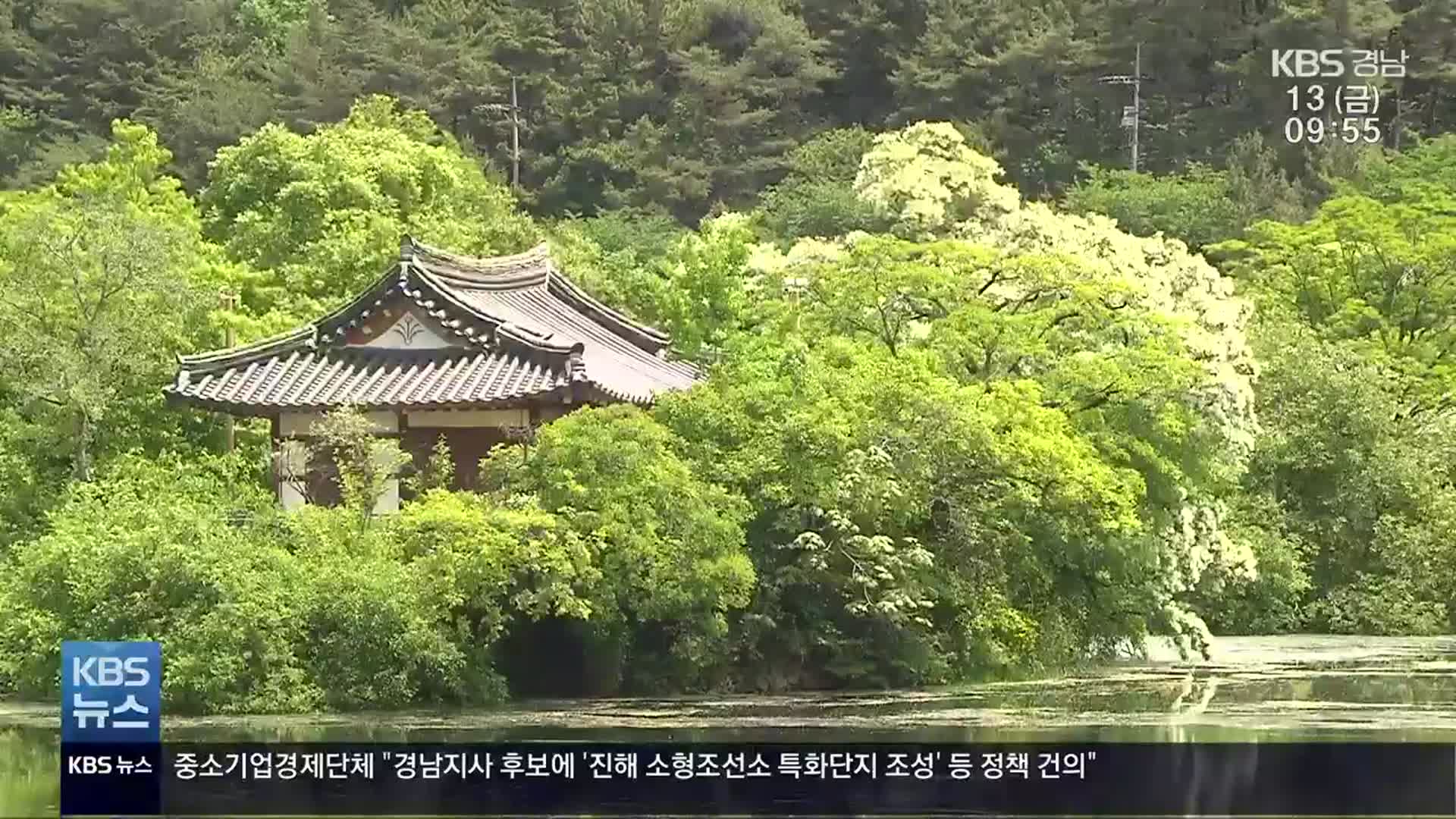 [영상] 이팝나무 절경 속 밀양 위양지