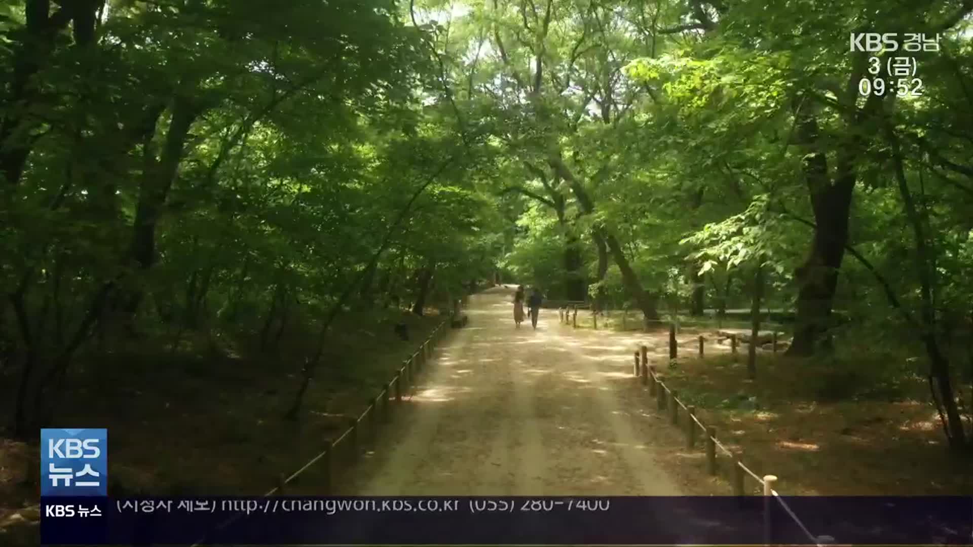 [영상] 천년의 숲 ‘함양 상림’…맨발로 걸으며 충전