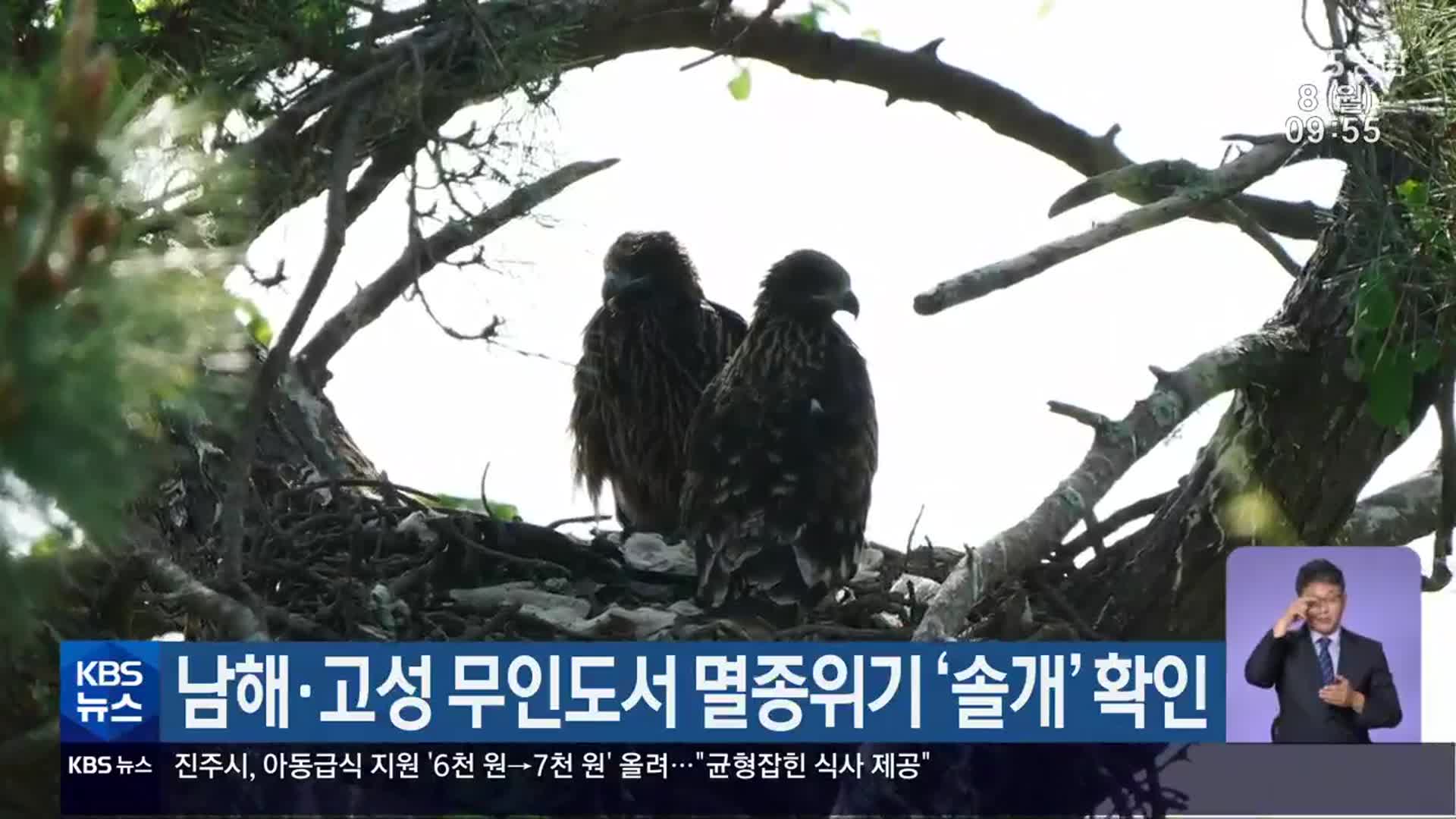 남해·고성 무인도서 멸종위기 ‘솔개’ 확인