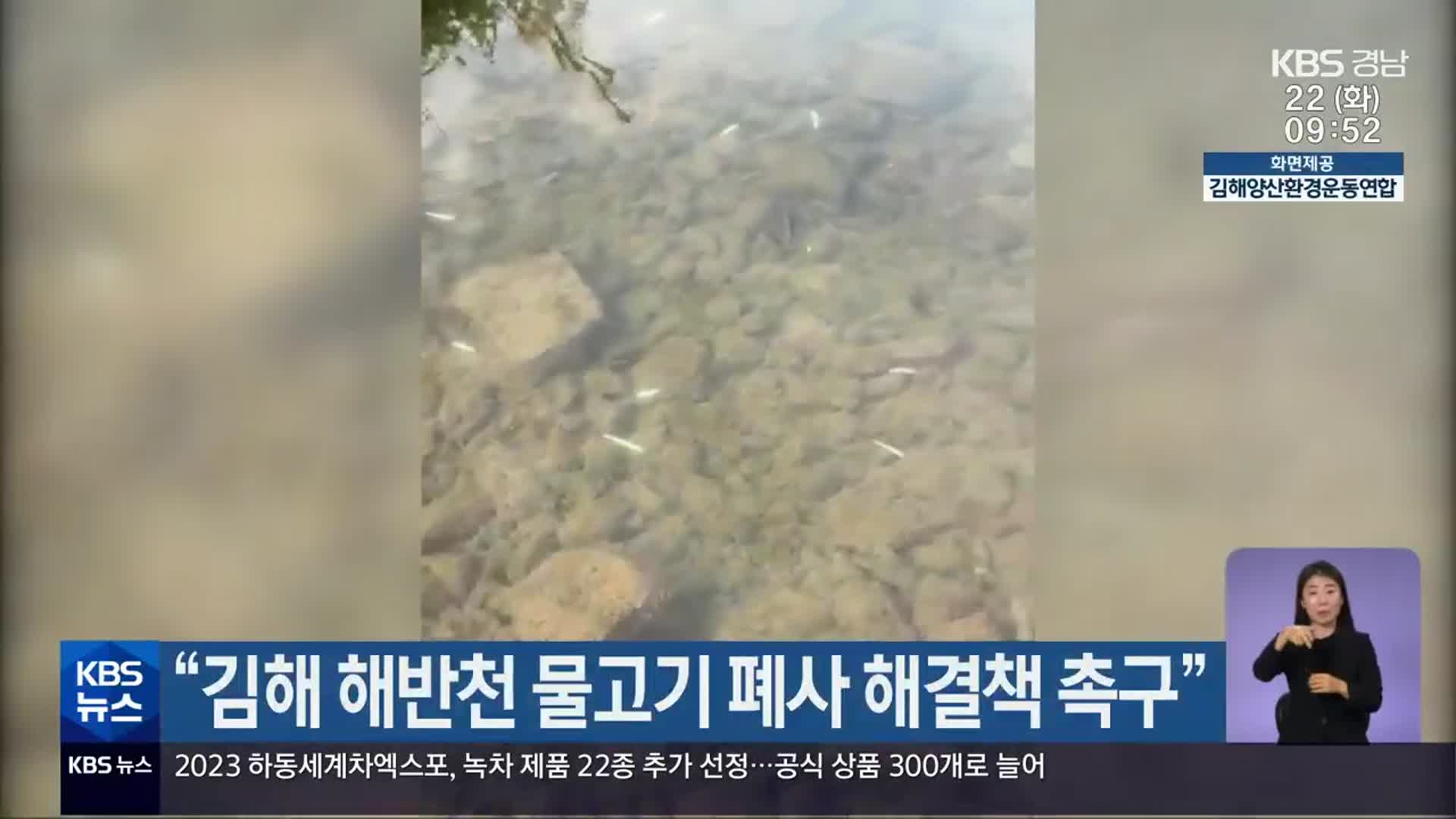 “김해 해반천 물고기 폐사 해결책 촉구”