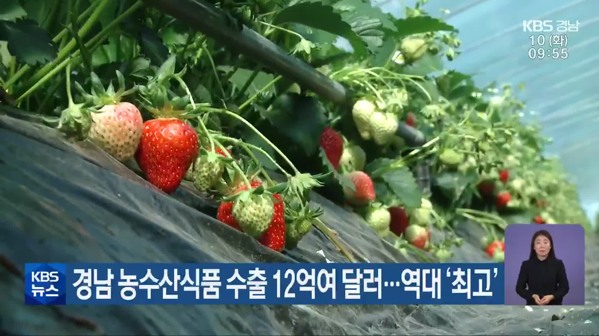 경남 농수산식품 수출 12억여 달러…역대 ‘최고’