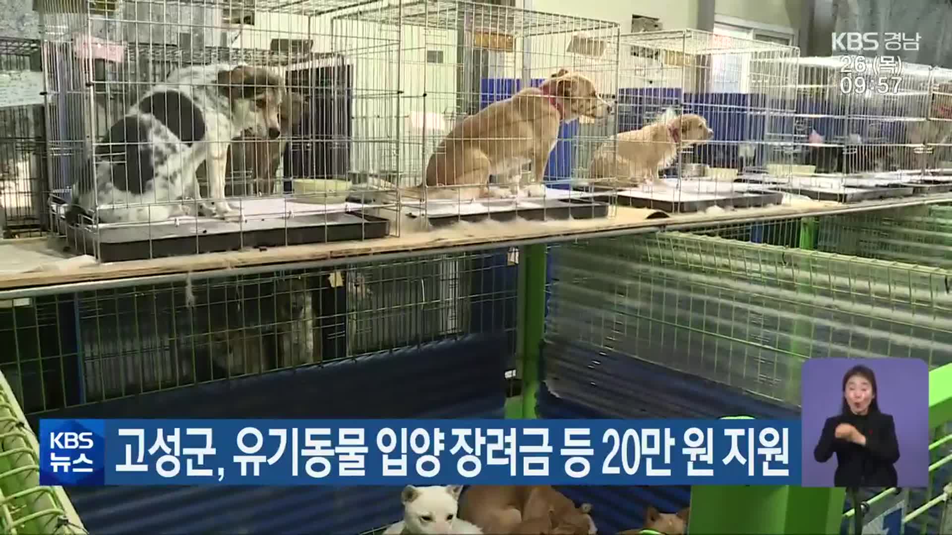 고성군, 유기동물 입양 장려금 등 20만 원 지원