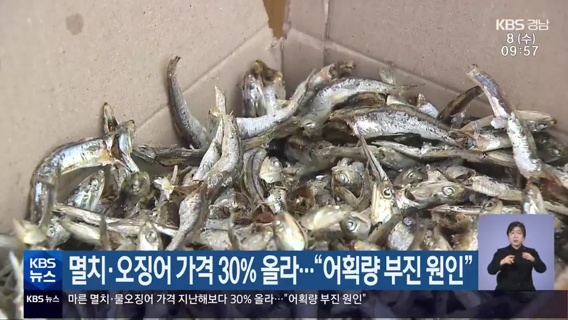 멸치·오징어 가격 30% 올라…“어획량 부진 원인”