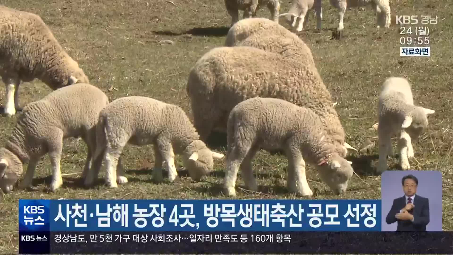 사천·남해 농장 4곳, 방목생태축산 공모 선정