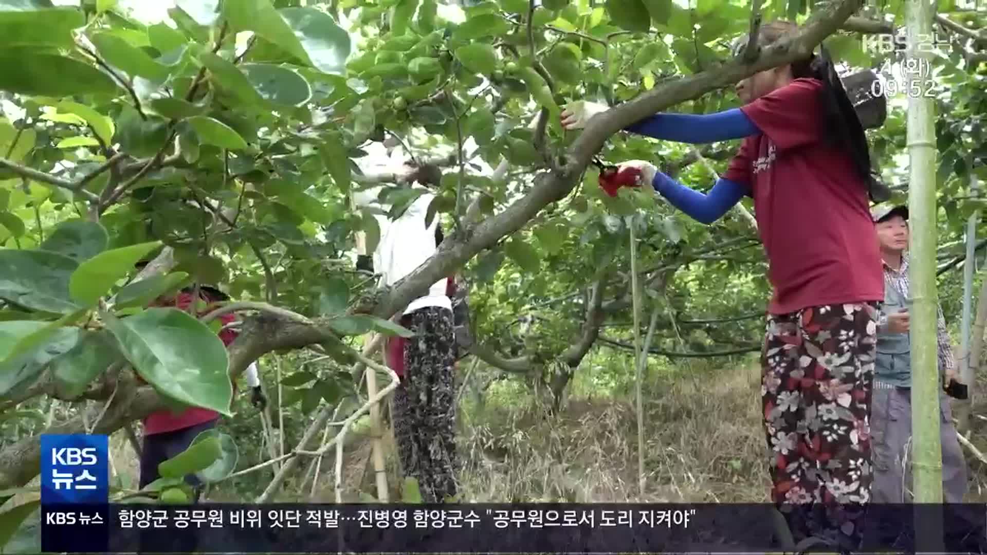 [현장속으로] 부족한 농촌 일손 “조금이나마 보탬 되길”