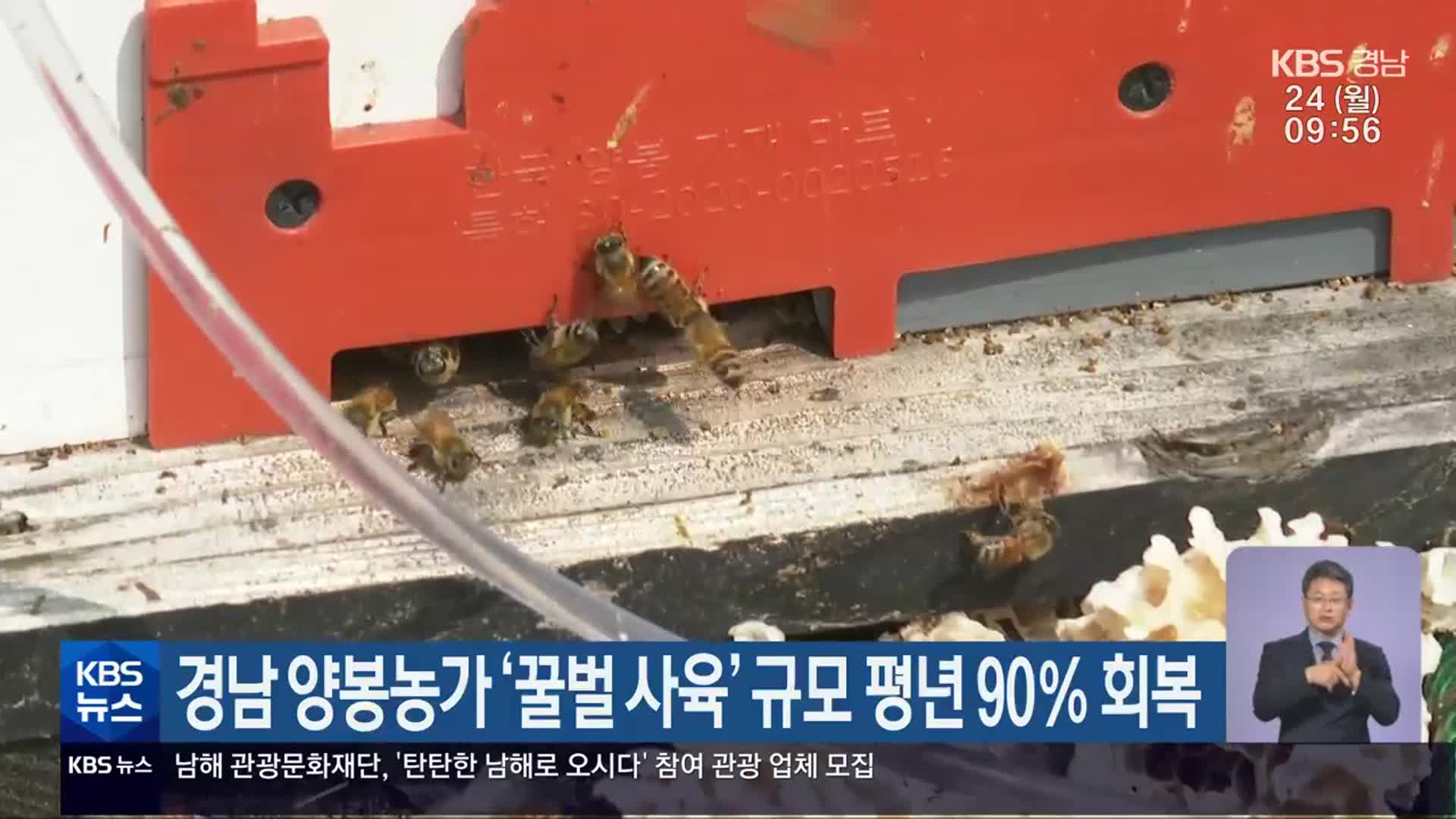 경남 양봉농가 ‘꿀벌 사육’ 규모 평년 90％ 회복