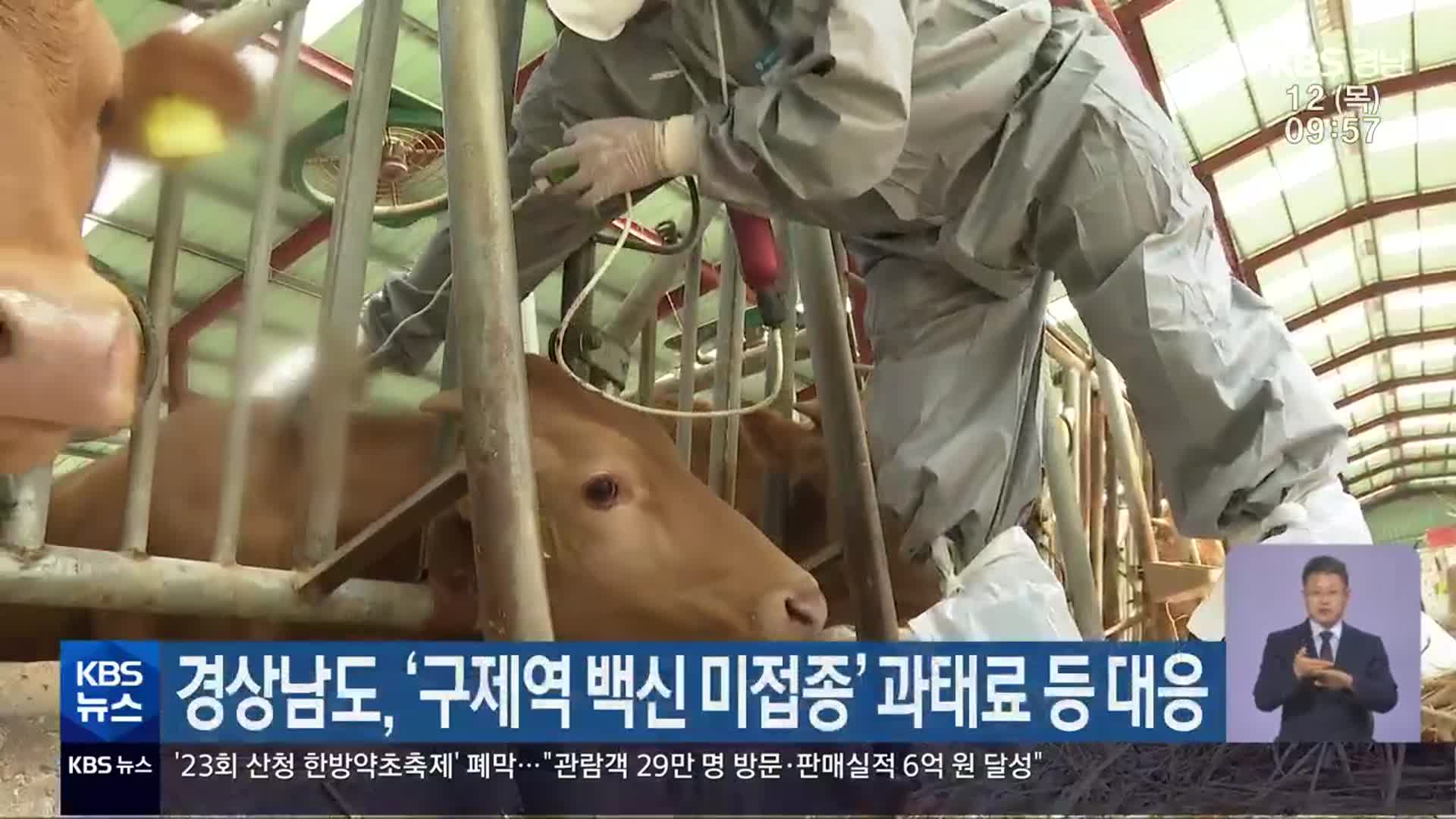 경상남도, ‘구제역 백신 미접종’ 과태료 등 대응