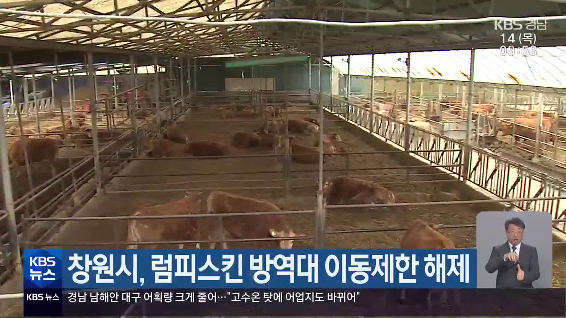 창원시, 럼피스킨 방역대 이동제한 해제