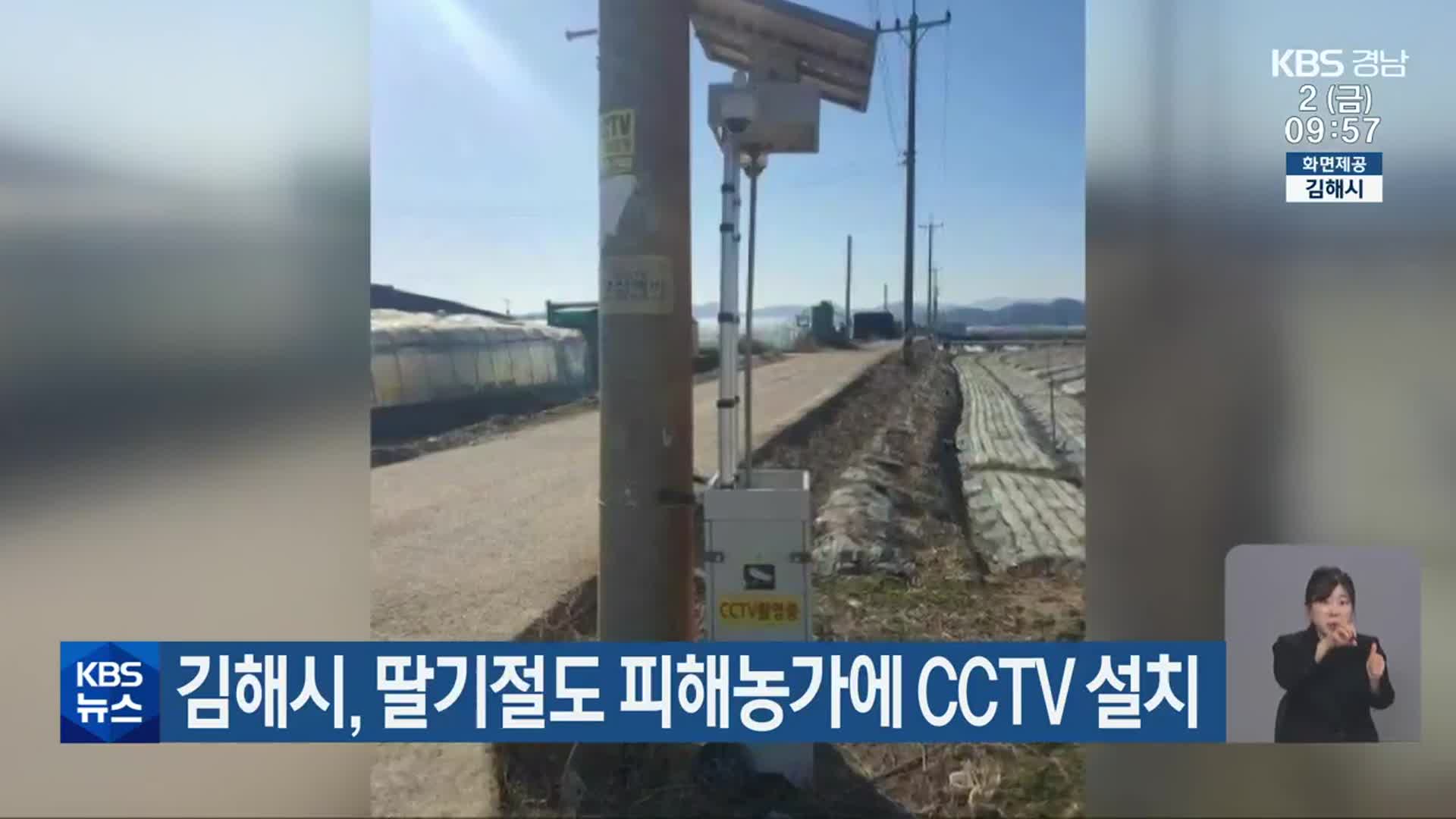 김해시, 딸기절도 피해농가에 CCTV 설치
