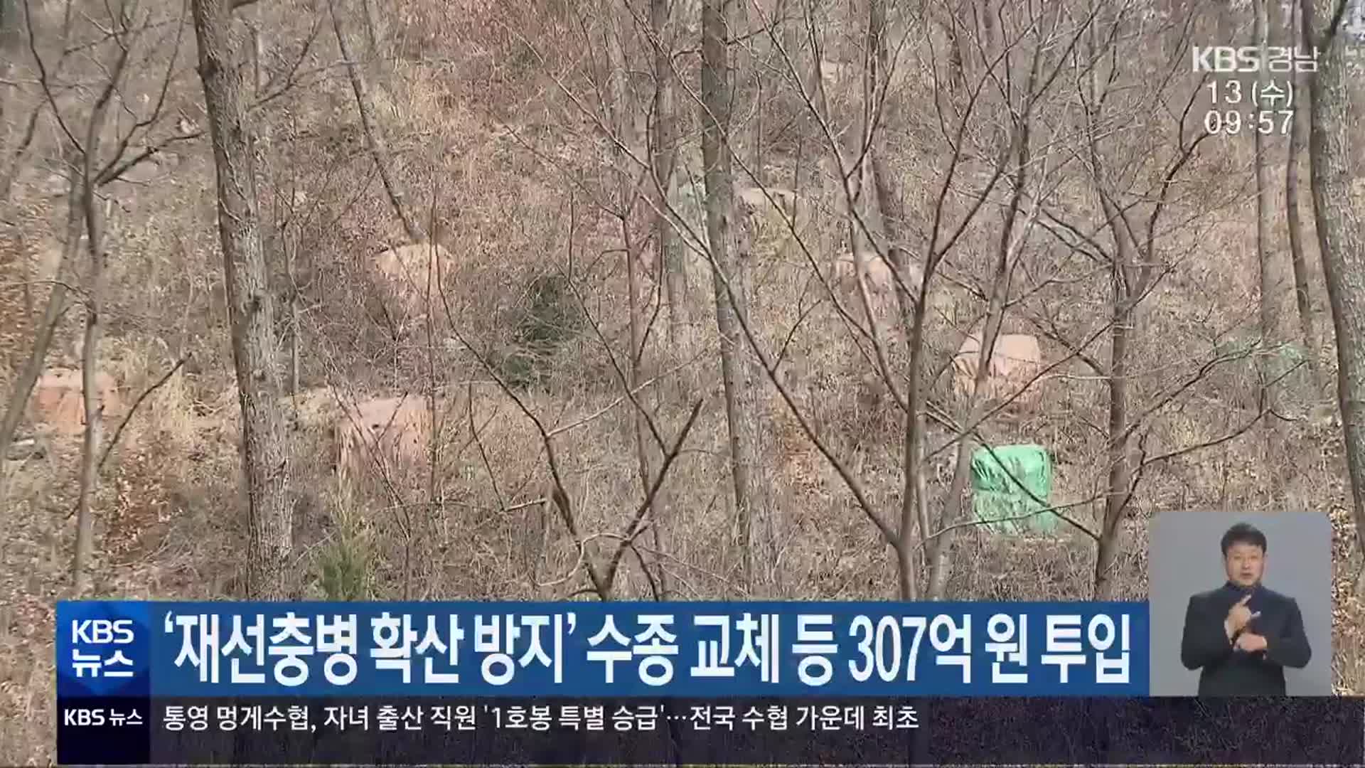 경남도, ‘재선충병 확산 방지’ 수종 교체 등 307억 원 투입