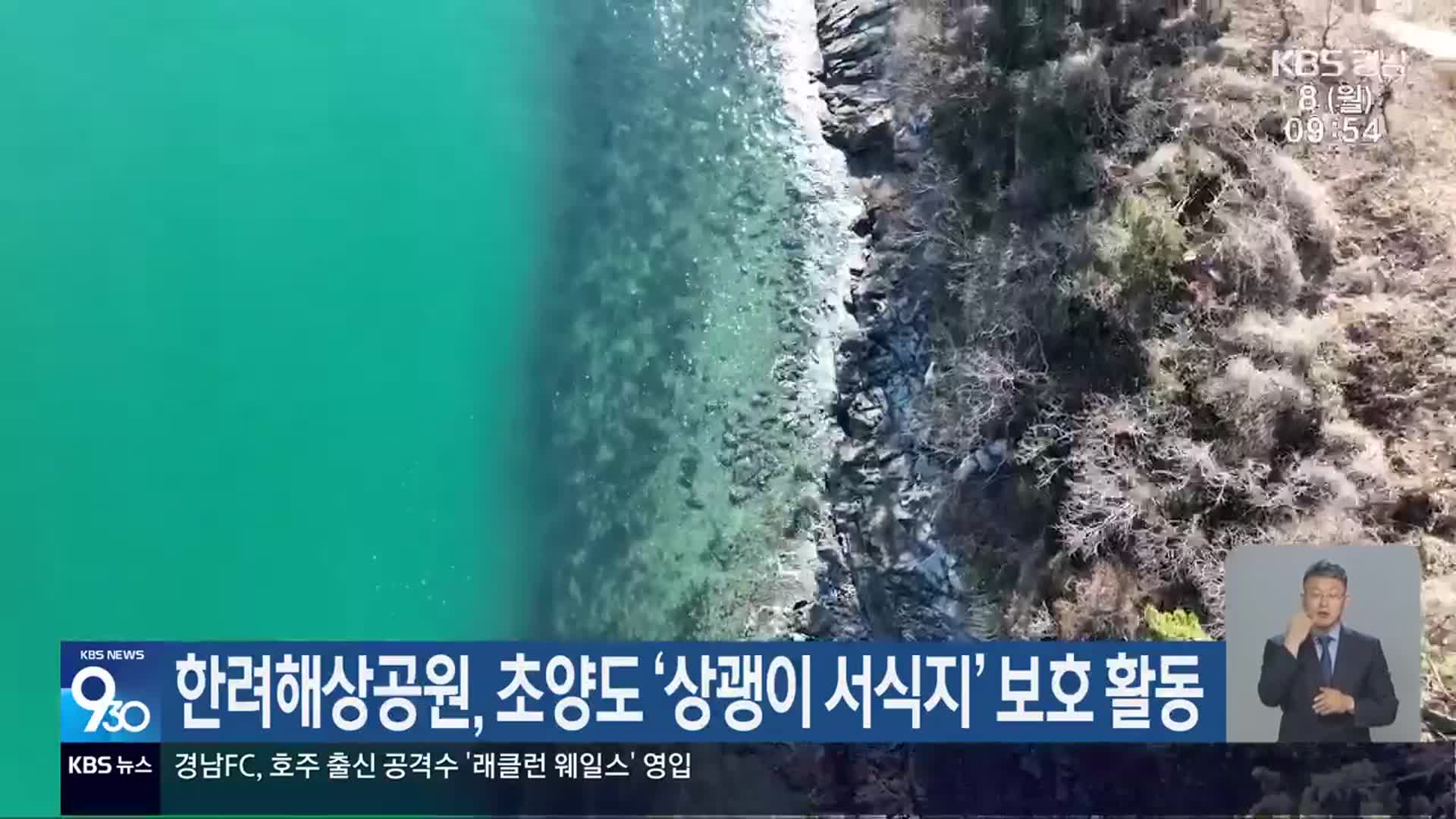 한려해상공원, 초양도 ‘상괭이 서식지’ 보호 활동