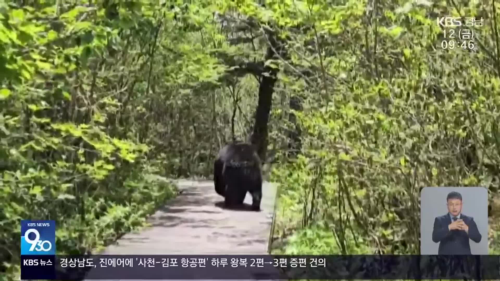 ‘꿀 먹는’ 반달가슴곰…공존 대책 필요