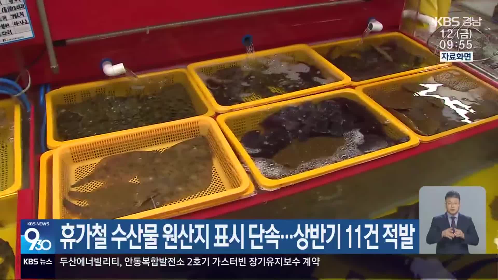 휴가철 수산물 원산지 표시 단속…상반기 11건 적발