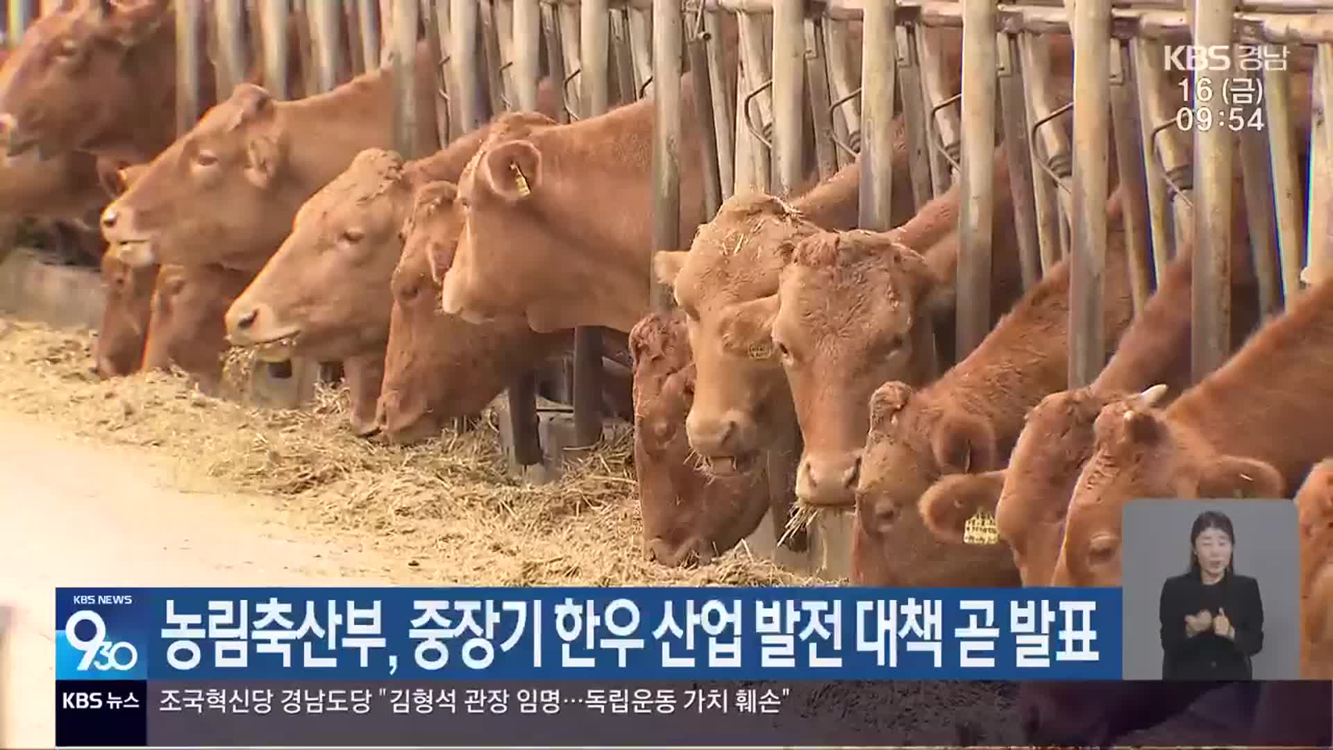 농림축산부, 중장기 한우 산업 발전 대책 곧 발표