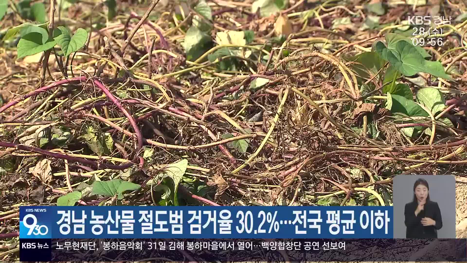경남 농산물 절도범 검거율 30.2%…전국 평균 이하