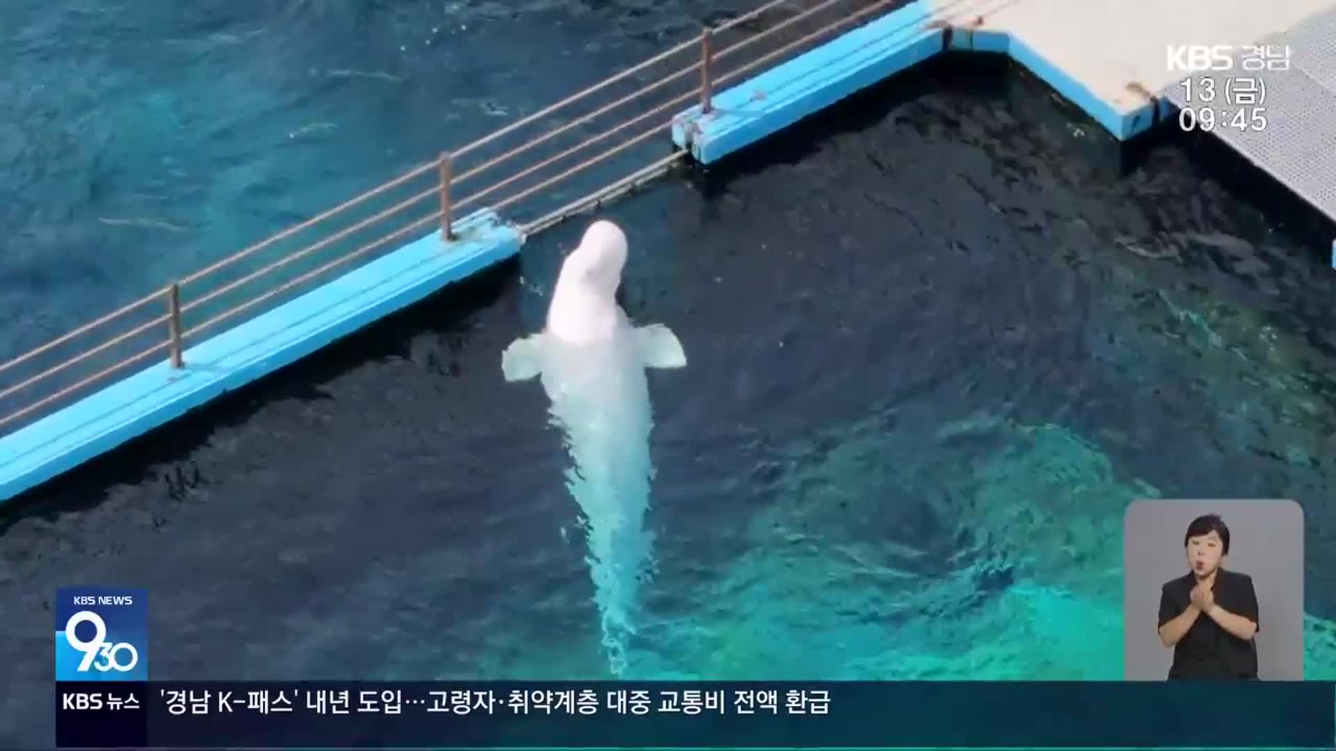 잇단 폐사 ‘돌고래 무덤’ 거제씨월드 폐쇄 논란