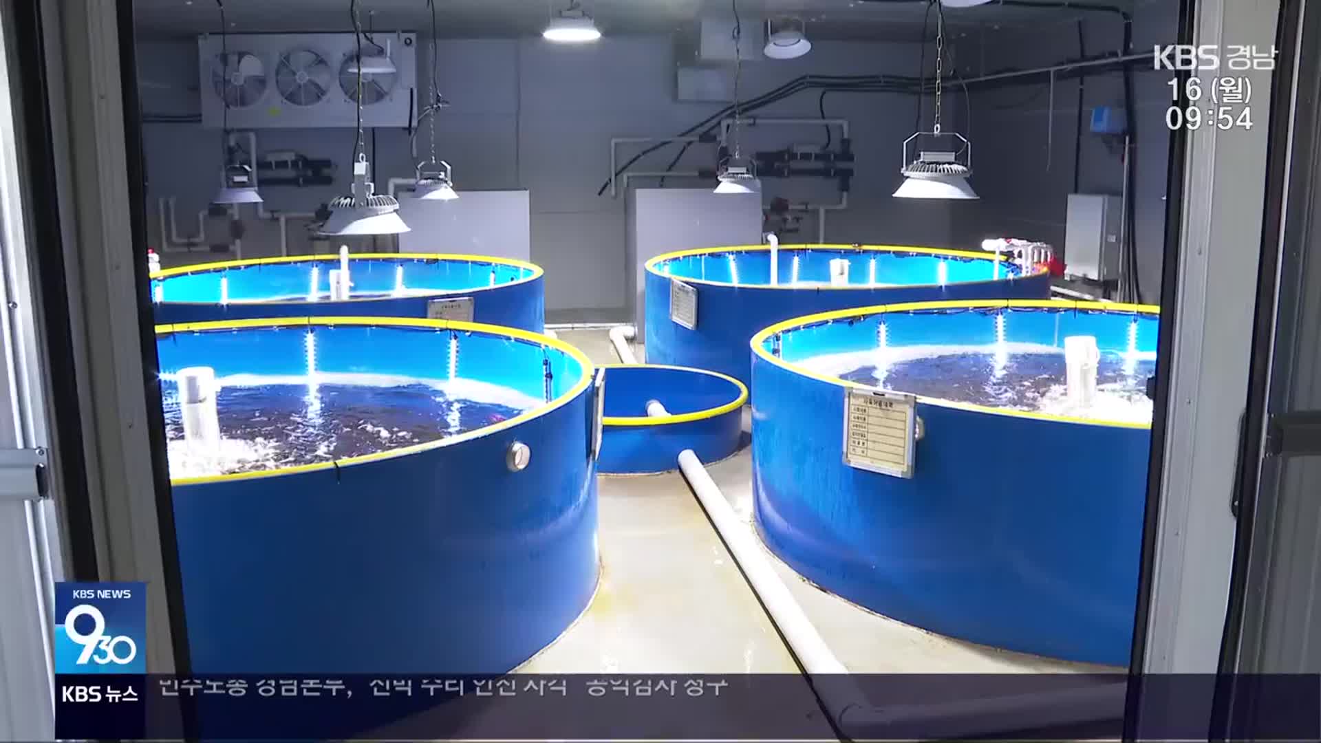 해양 오염에 기후변화…‘김 양식도 바다 아닌 육상에서’